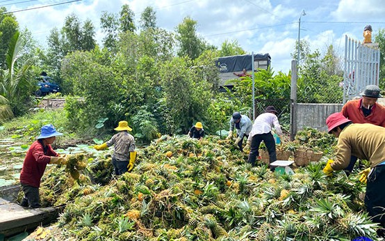 Một ông nông dân Lâm Đồng sáng chế máy nông nghiệp bán ra nước ngoài, cả làng phục sát đất - Ảnh 5.