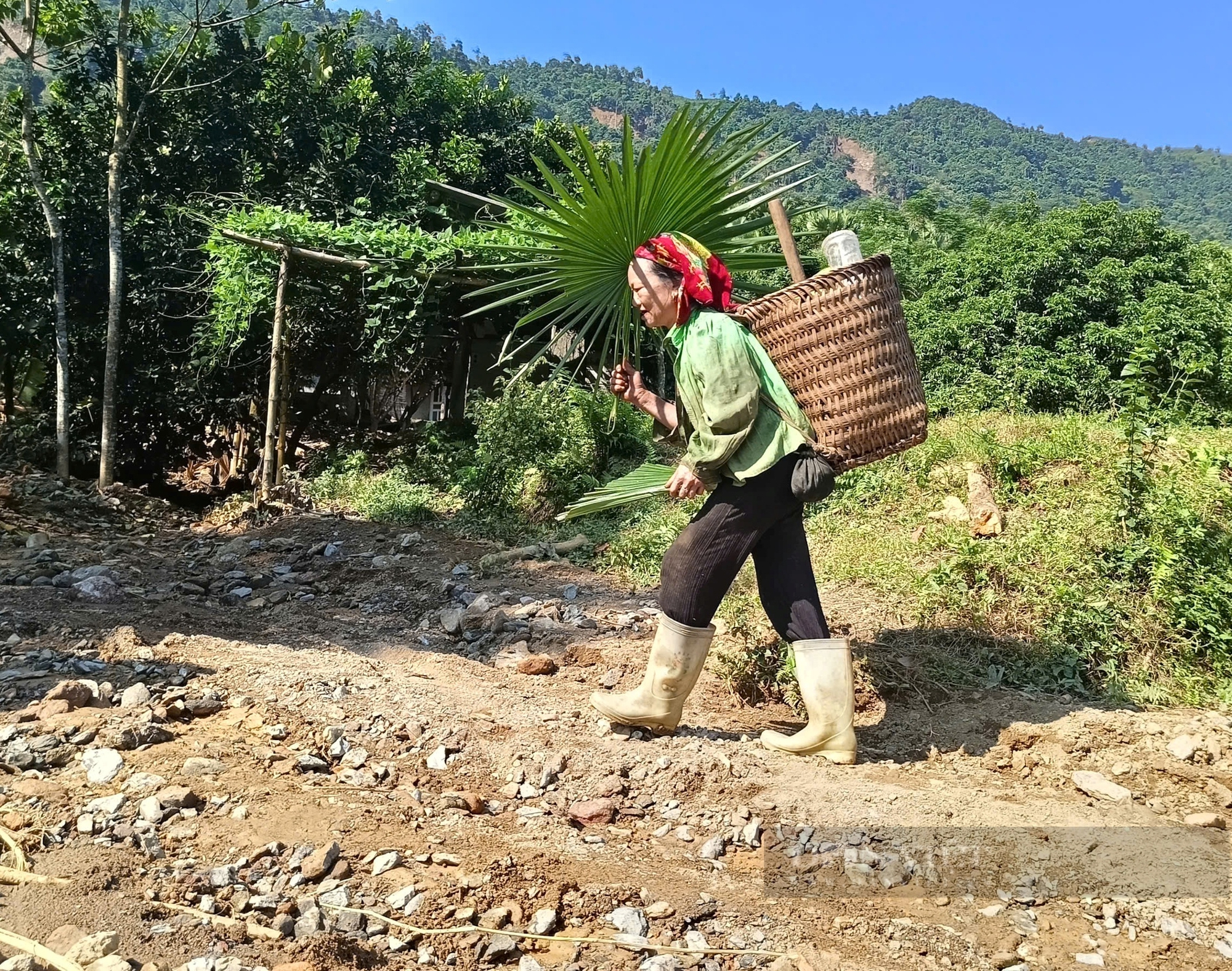 Gần trăm nhà dân có nguy cơ bị sạt lở, Thứ trưởng Trần Thanh Nam đề nghị Hà Giang bố trí khu tái định cư- Ảnh 2.