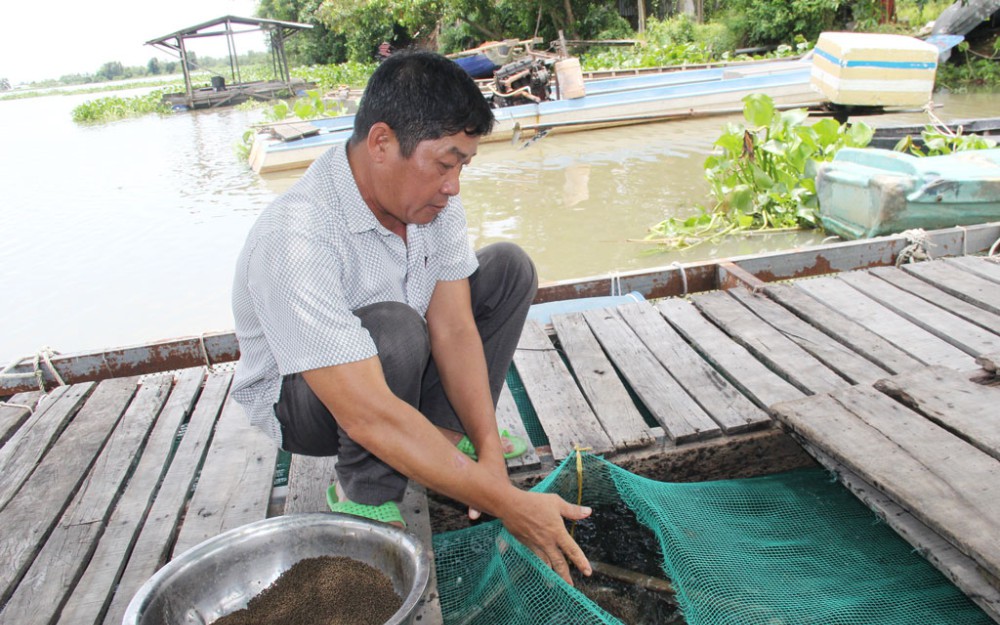 Xã duy nhất có “thôn thông minh” sẽ là xã nông thôn mới kiểu mẫu đầu tiên ở Ninh Thuận - Ảnh 6.