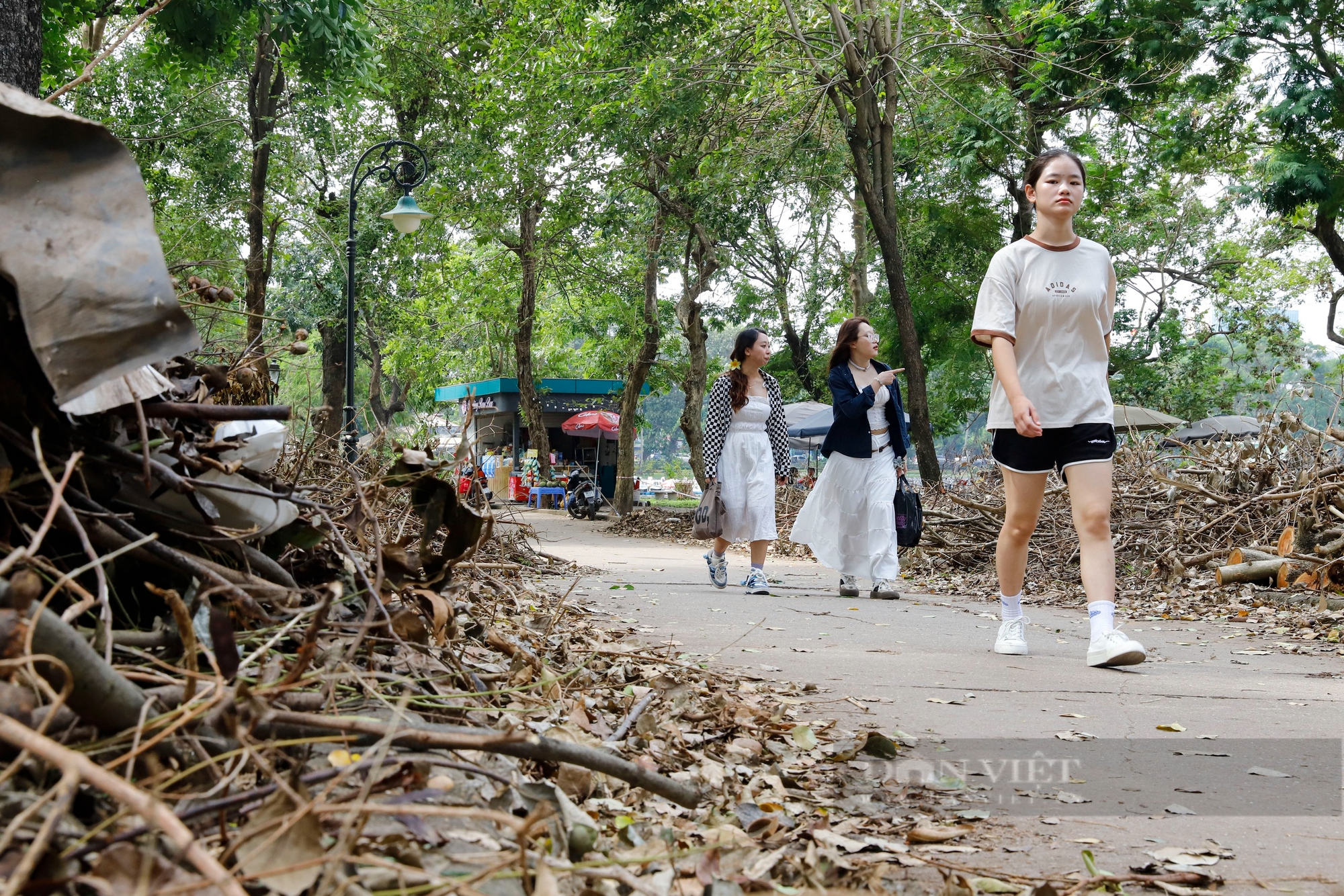 Công nhân cưa mòn lưỡi xích, công viên Hà Nội vẫn la liệt cây đổ- Ảnh 9.