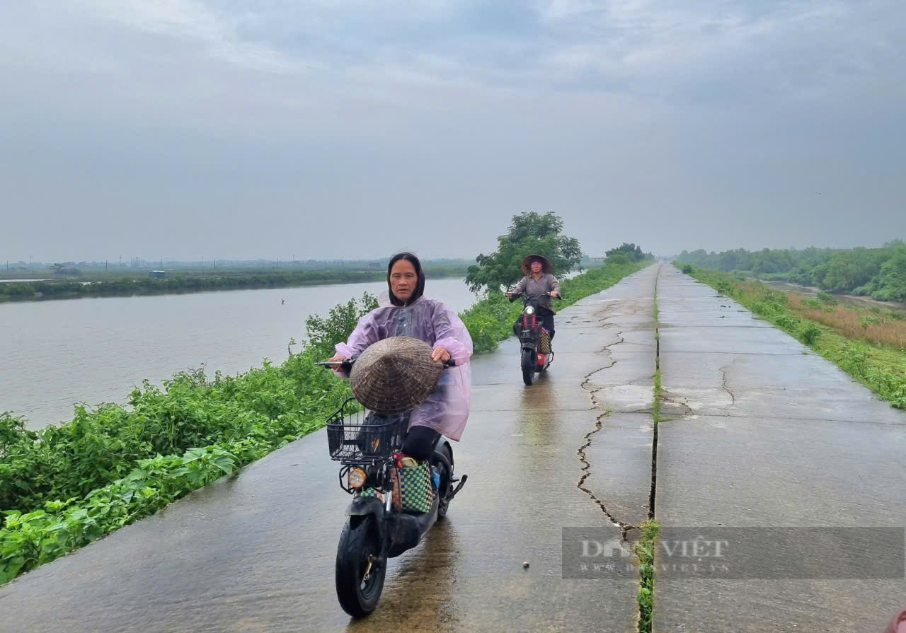 Dân một xã ở Thanh Hóa bất an vì mặt đê sông, biển nứt toác trong mùa mưa bão - Ảnh 7.