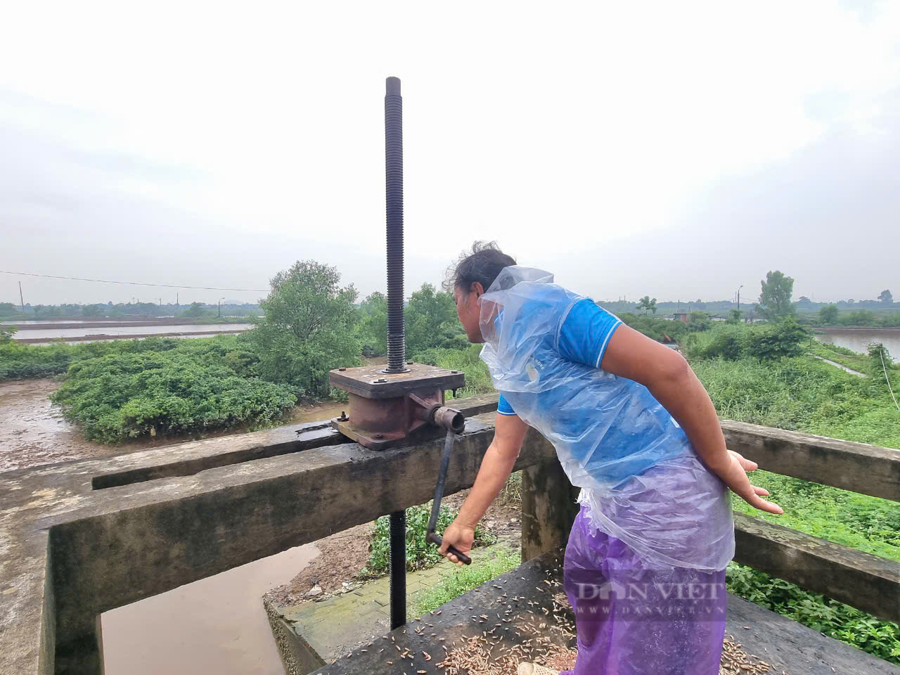 Dân một xã ở Thanh Hóa bất an vì mặt đê sông, biển nứt toác trong mùa mưa bão - Ảnh 8.