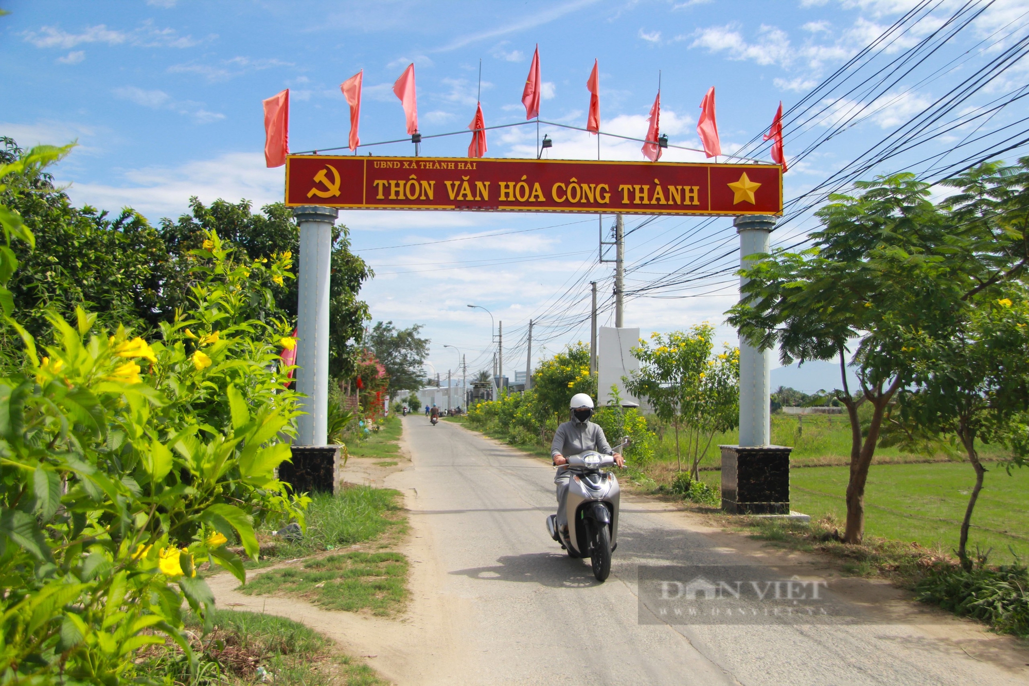 Xã duy nhất ở TP. Phan Rang – Tháp Chàm có “thôn thông minh” trong xây dựng nông thôn mới kiểu mẫu ở Ninh Thuận - Ảnh 6.