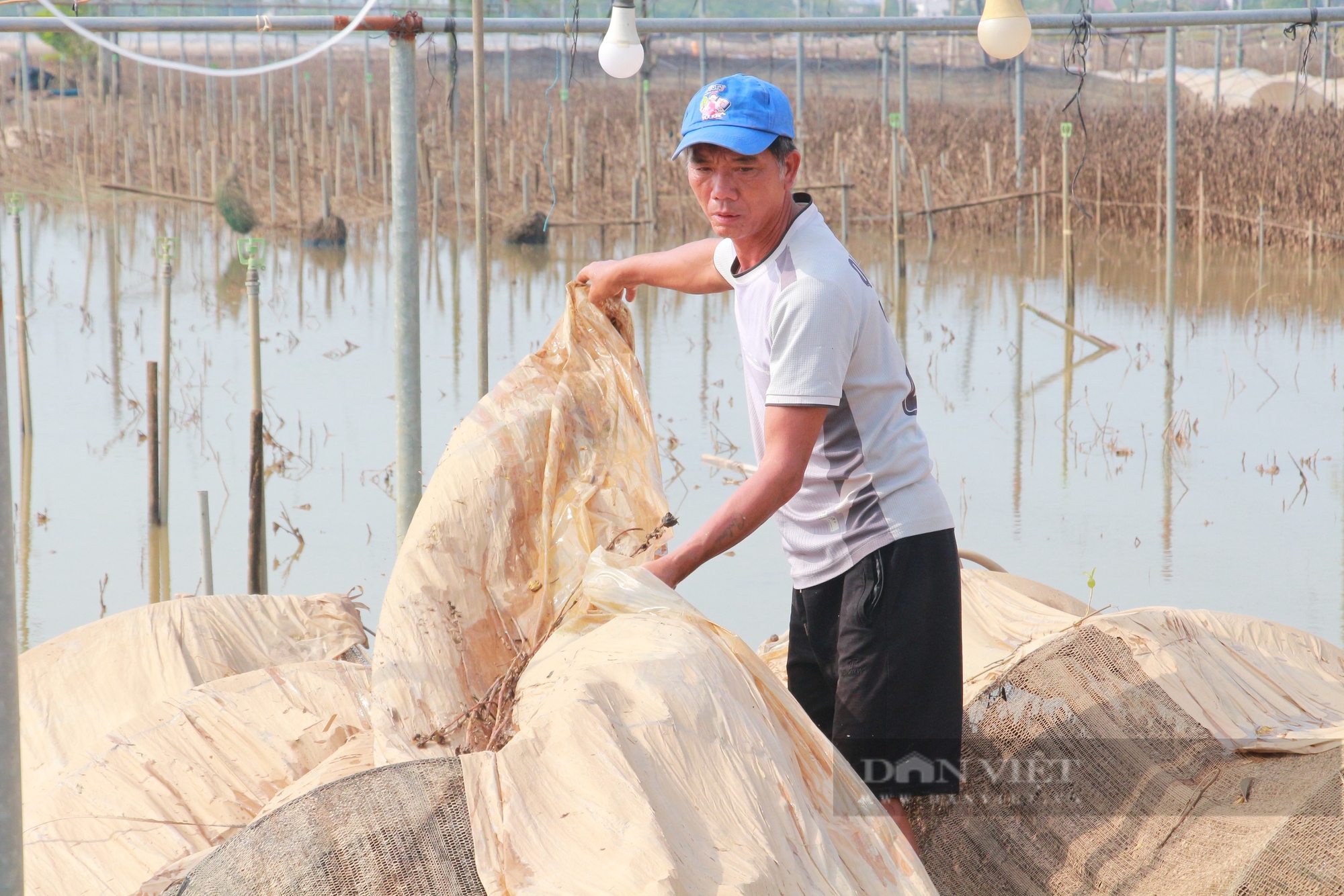 Làng hoa lớn nhất tỉnh Nam Định tan hoang, hàng trăm tỷ đồng "trôi" theo dòng nước lũ - Ảnh 2.