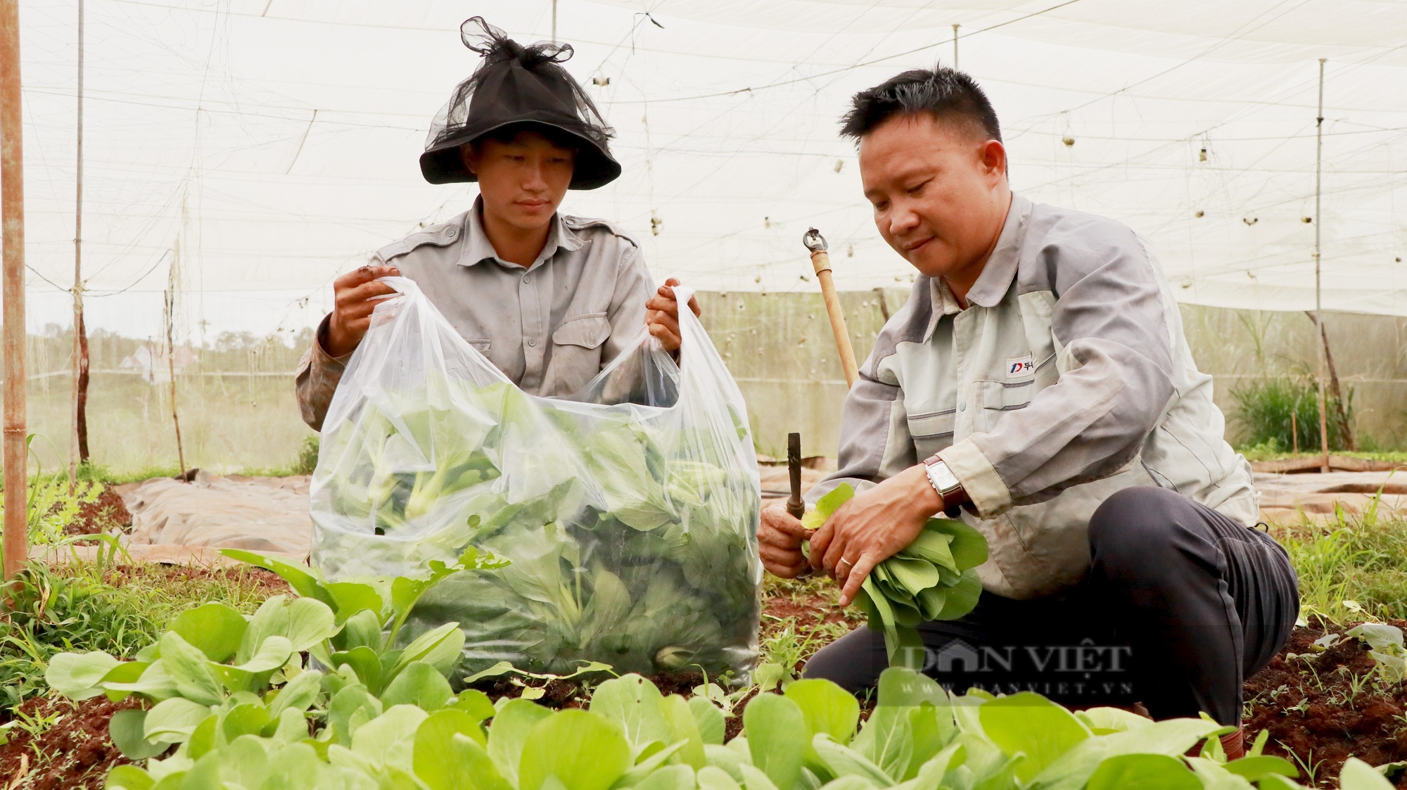 Nông dân Việt Nam xuất sắc ở Lâm Đồng gặp 3 khó khăn khi làm nông ngiệp tuần hoàn - Ảnh 2.