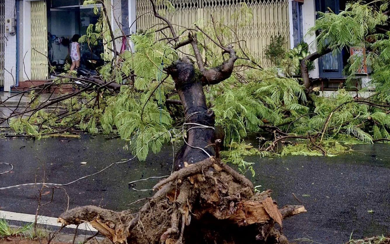 Người đăng tin sai sự thật về bão, lũ trên mạng xã hội có thể bị xử lý sao? - Ảnh 1.