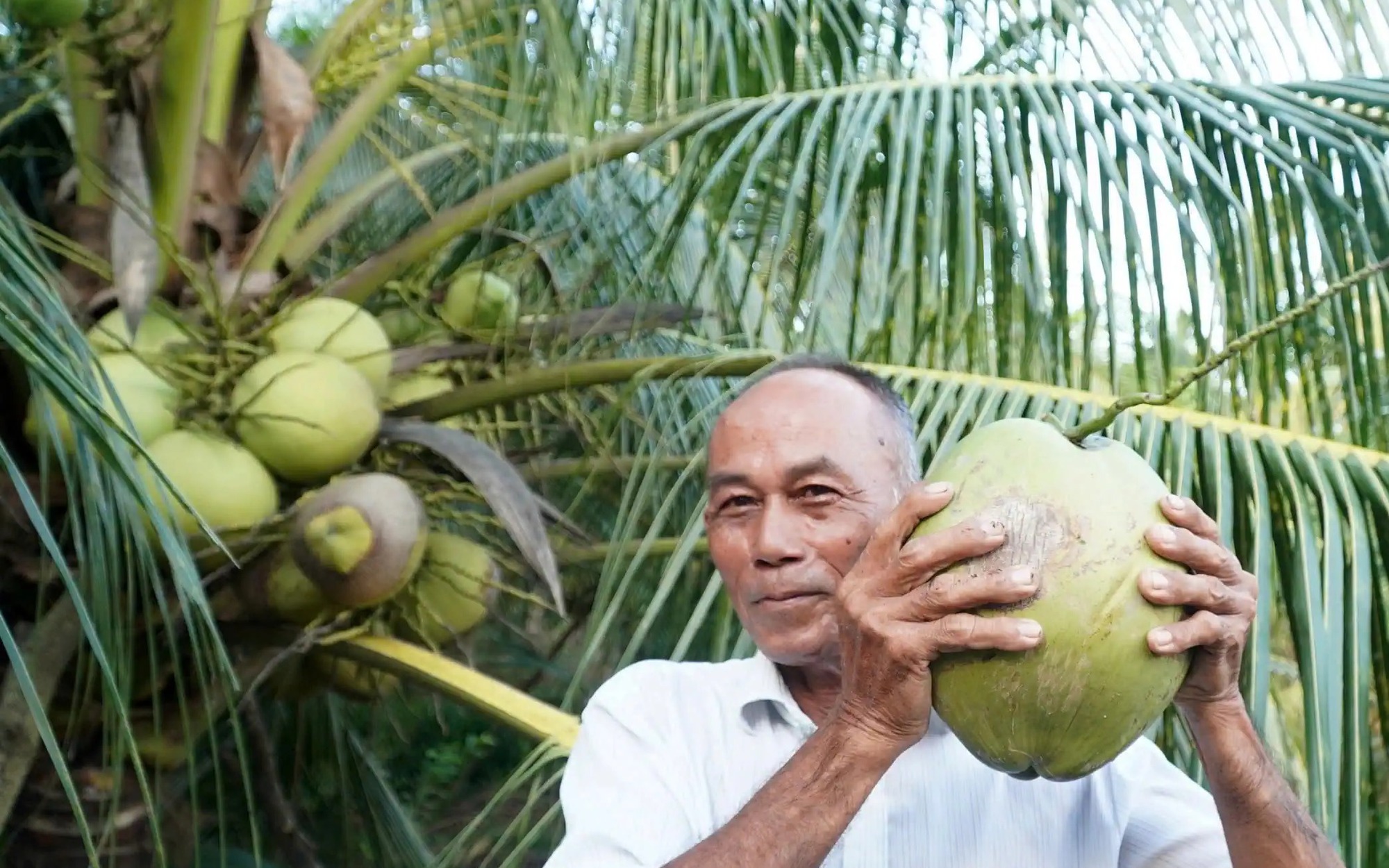 Xã duy nhất có “thôn thông minh” sẽ là xã nông thôn mới kiểu mẫu đầu tiên ở Ninh Thuận - Ảnh 3.