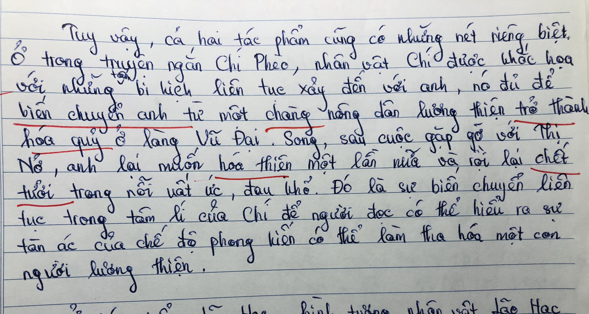 Học sinh so sánh 2 truyện Chí Phèo và Lão Hạc khiến tiến sĩ văn học chấm bài "hoang mang”- Ảnh 1.