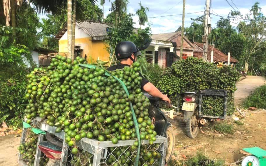 Lúa chưa chín thương lái, doanh nghiệp đã đến đặt cọc, nhà nào làm lúa hè thu là lãi gần 3 triệu/công - Ảnh 2.