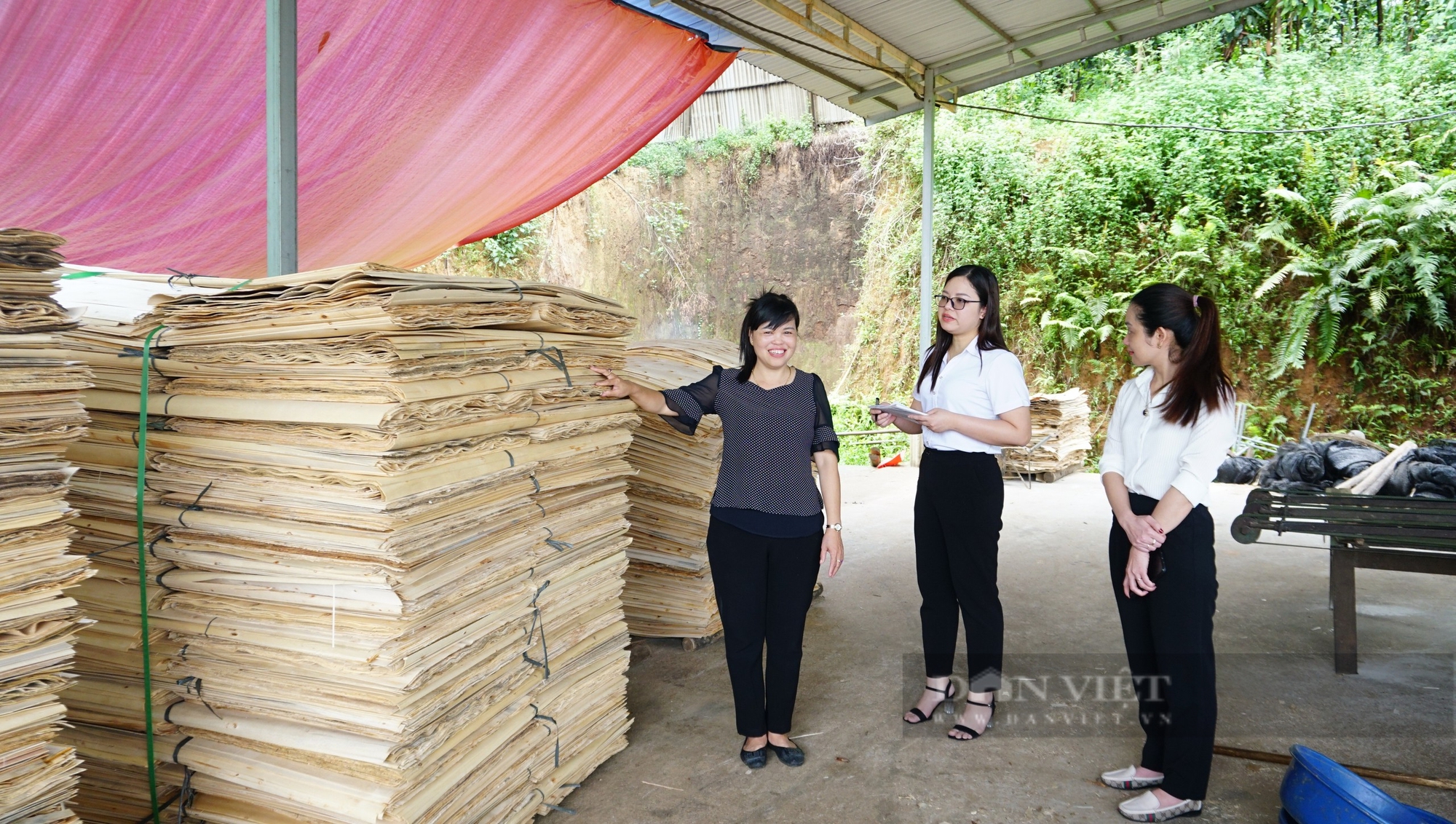 Agribank Bắc Yên Bái: Hoàn thành xuất sắc nhiệm vụ, đạt danh hiệu Đơn vị tiêu biểu năm 2023