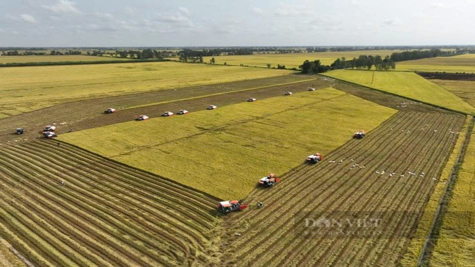 Nông dân Việt Nam xuất sắc đến từ An Giang có 80ha đất trồng lúa, đi đầu trong mô hình "Mặt ruộng không dấu chân" - Ảnh 4.