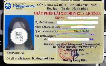 Sở Giao thông vận tải Long An chính thức gia hạn cấp giấy phép lái xe - Ảnh 3.