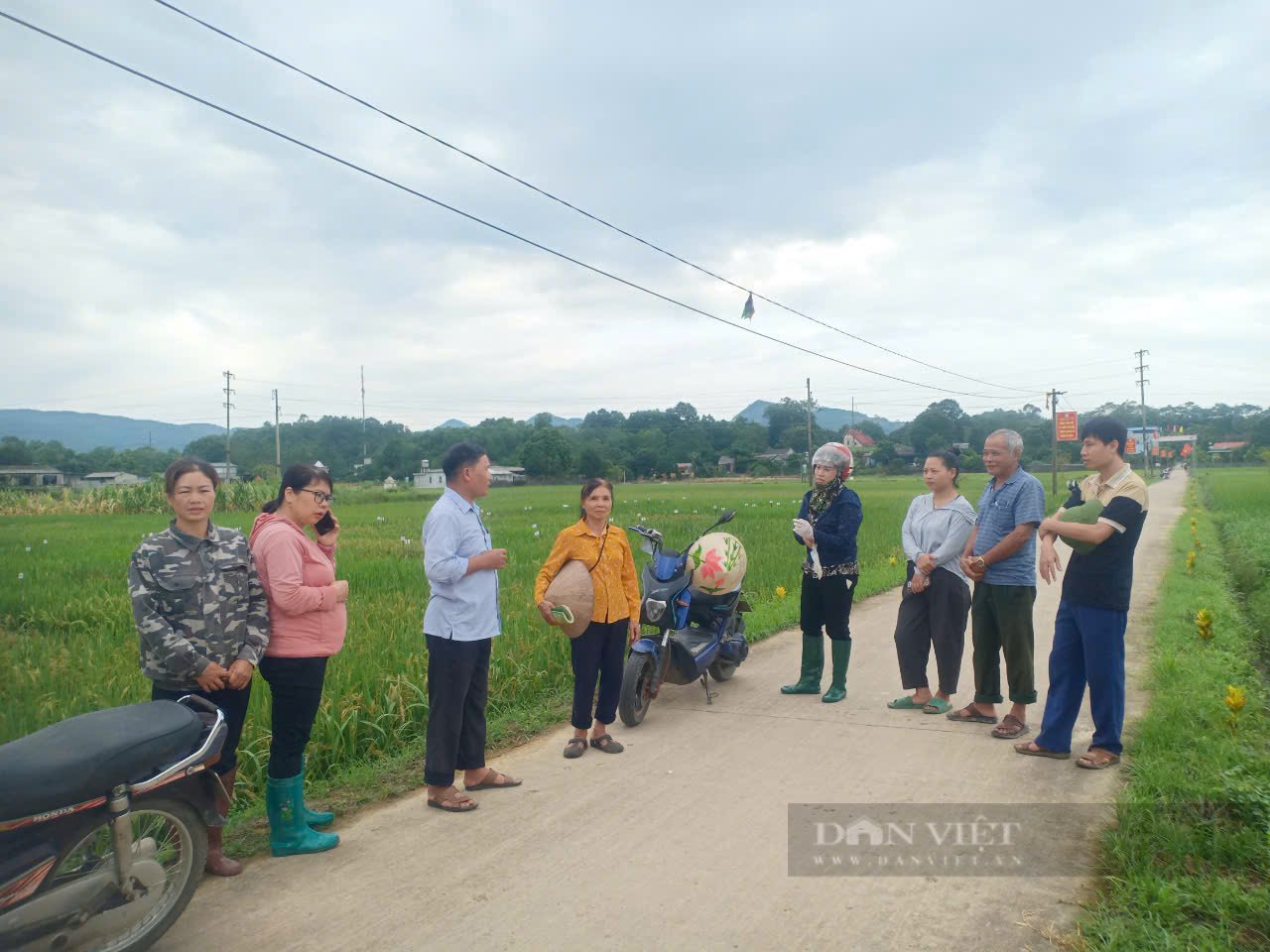 Thái Nguyên: Sau bão lũ, ngành nông nghiệp Phú Lương làm gì để phòng, chống dịch bệnh cho vật nuôi? - Ảnh 4.