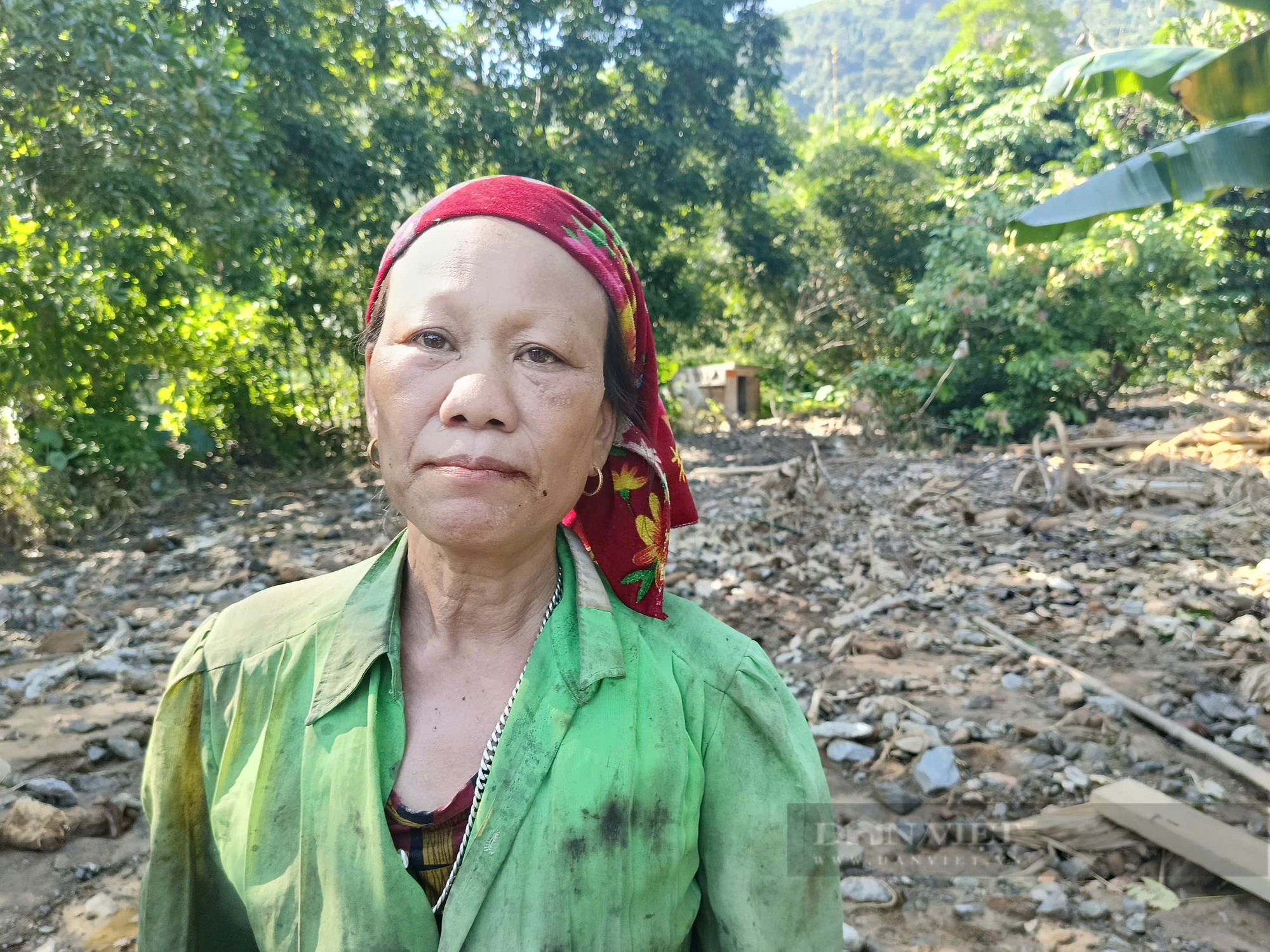 Nông dân gượng dậy thế nào sau bão Yagi: Chủ trang trại, nông dân "khát" vốn để tái thiết sản xuất (Bài 4) - Ảnh 5.