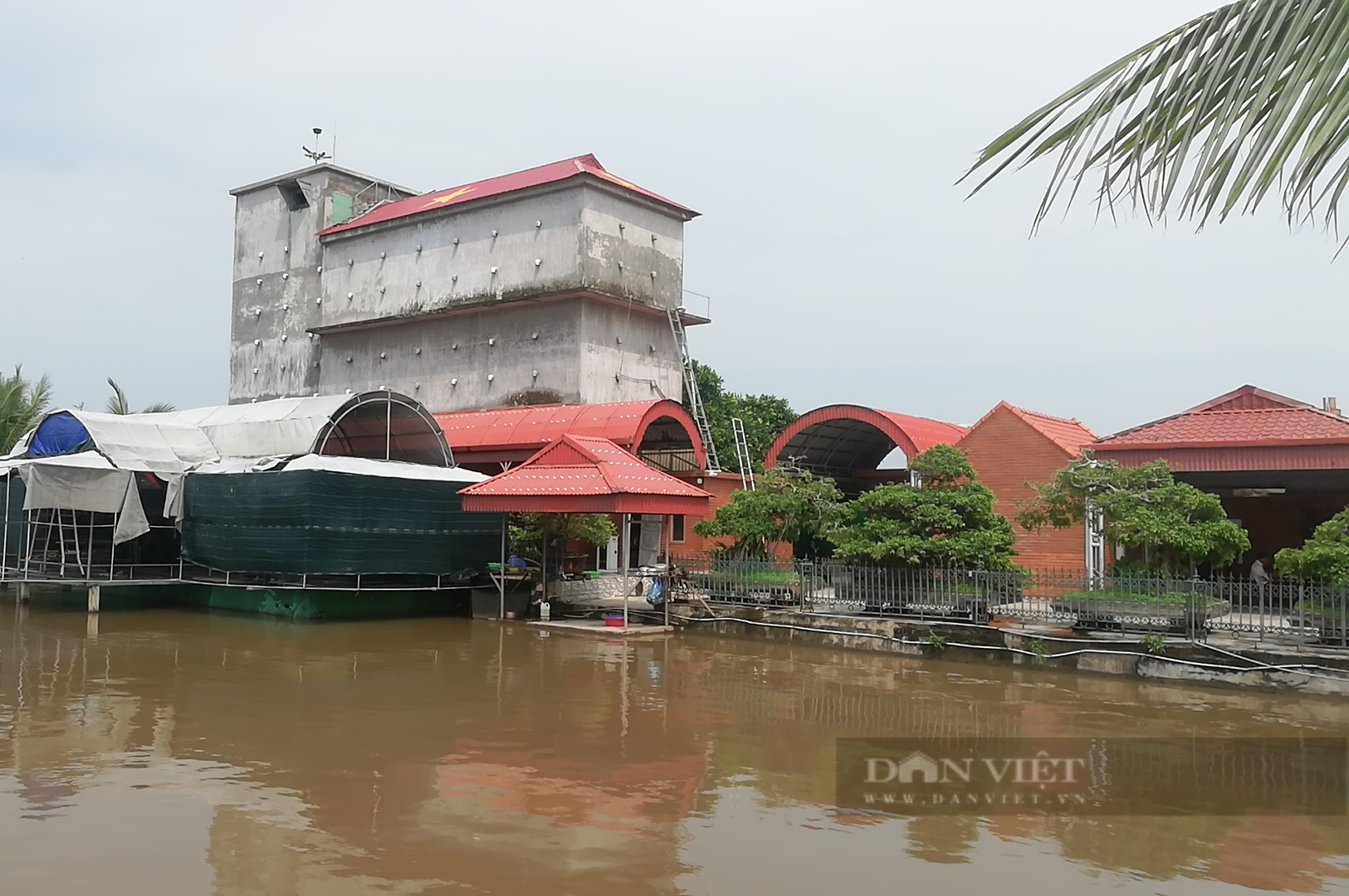 Nông dân Việt Nam xuất sắc đến từ Nam Định nuôi thành công chim yến, sở hữu một "Bến Tre thu nhỏ" - Ảnh 2.