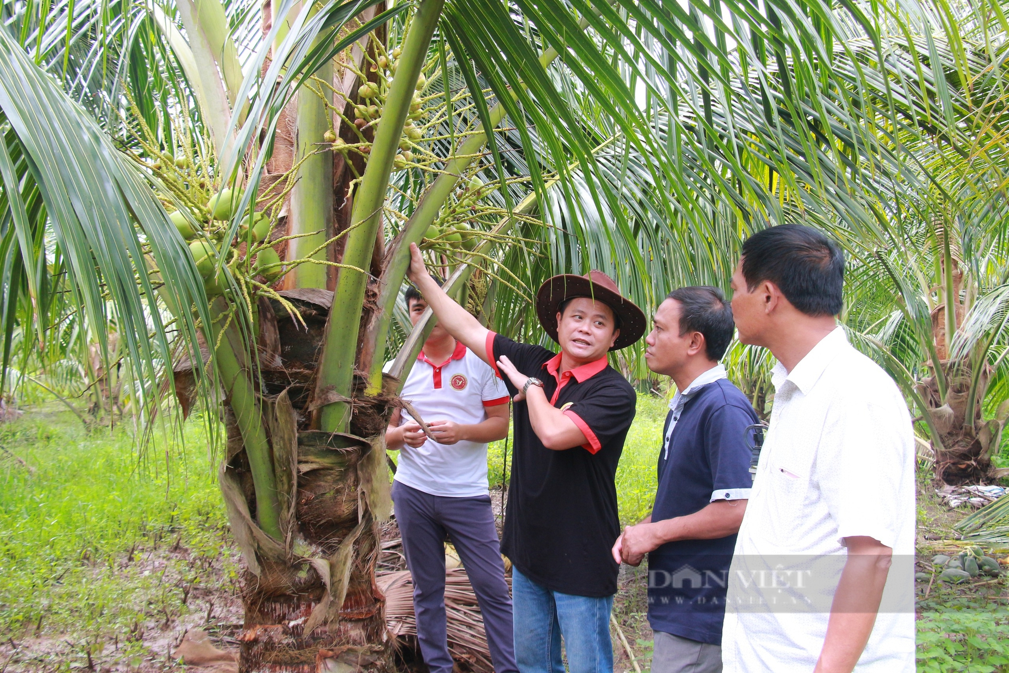 Nông dân Việt Nam xuất sắc đến từ Nam Định nuôi thành công chim yến, sở hữu một "Bến Tre thu nhỏ" - Ảnh 4.