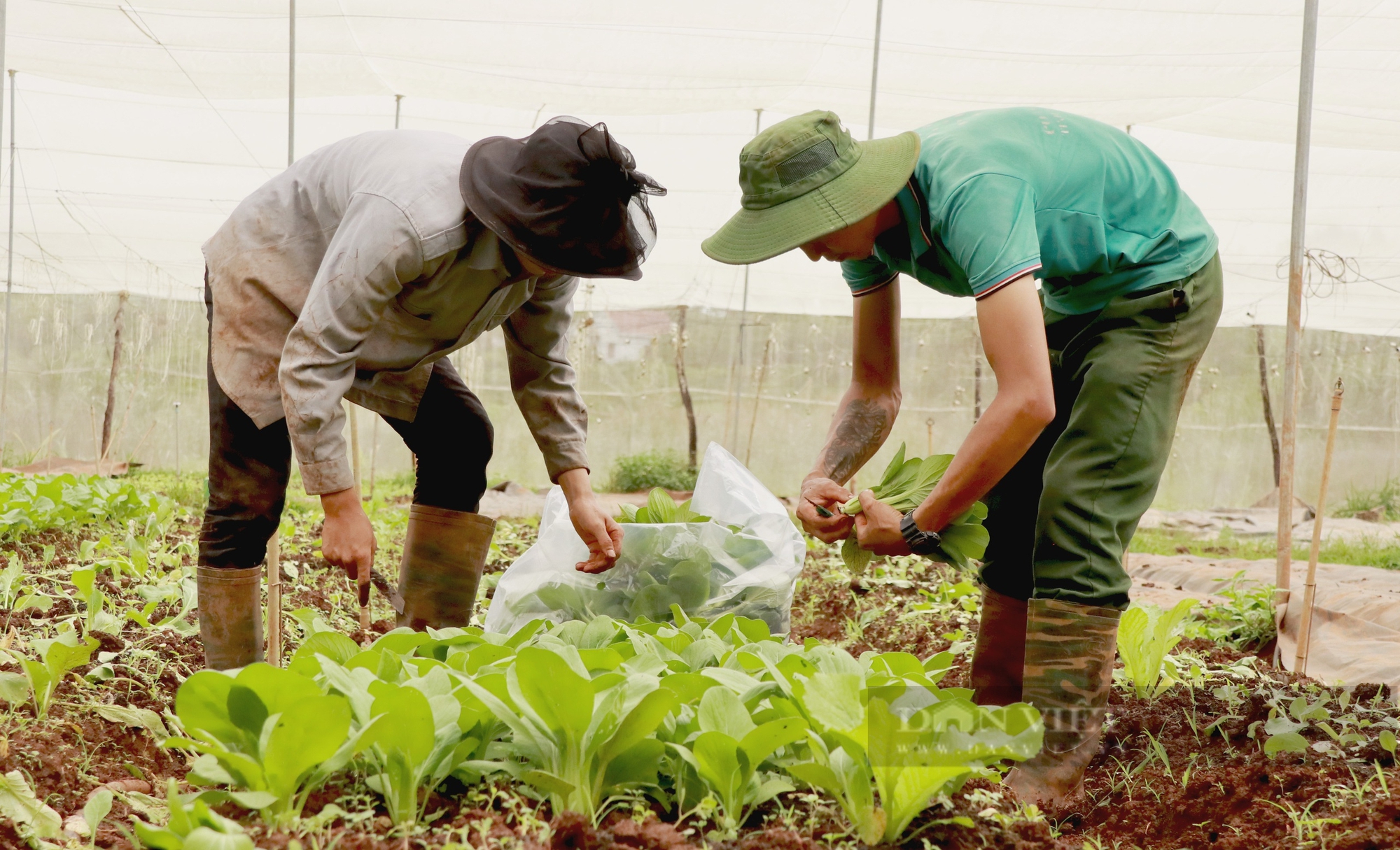 Nông dân Việt Nam xuất sắc tại Lâm Đồng thành công với mô hình “Biển – Vườn – Ao – Chuồng – Ruộng – Rừng” - Ảnh 6.