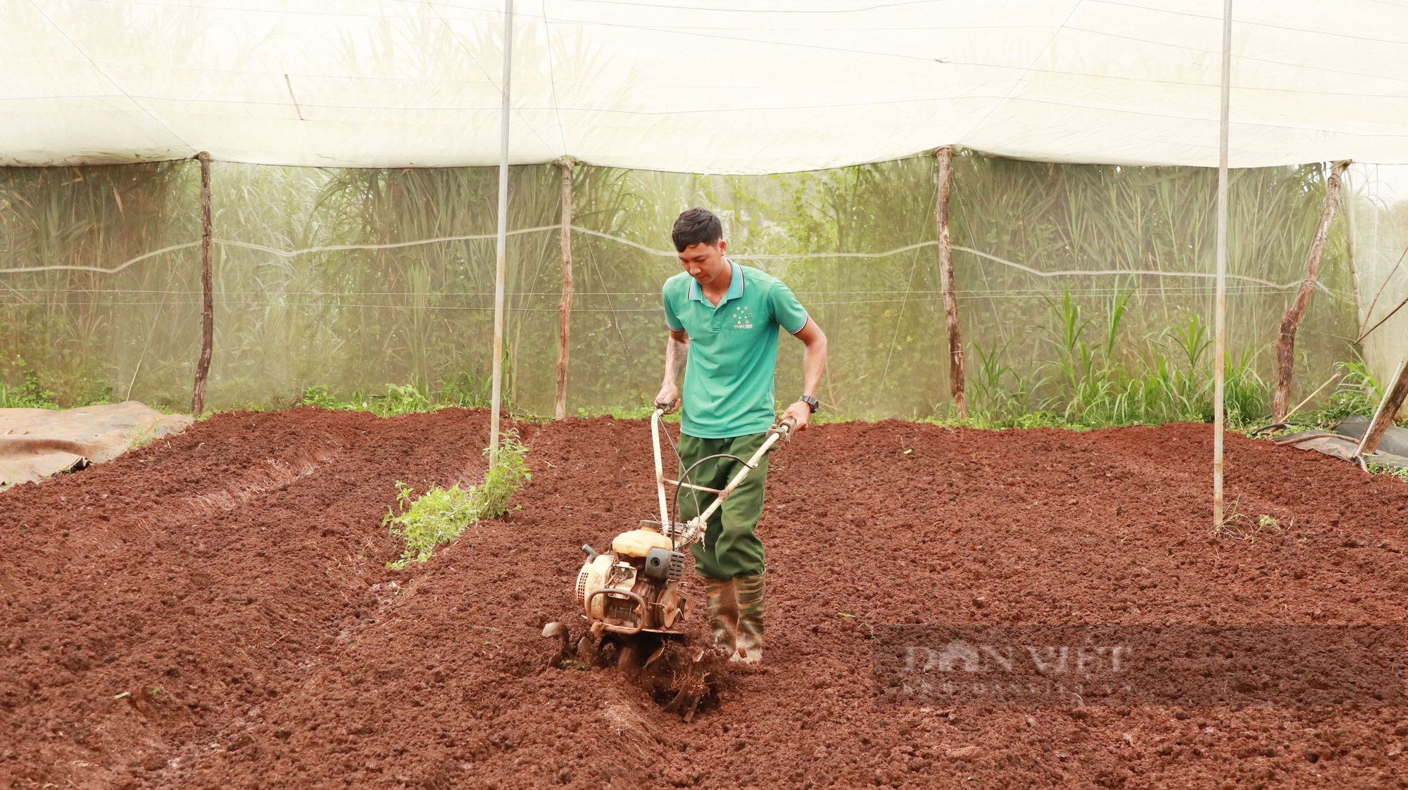 Nông dân Việt Nam xuất sắc tại Lâm Đồng thành công với mô hình “Biển – Vườn – Ao – Chuồng – Ruộng – Rừng” - Ảnh 3.