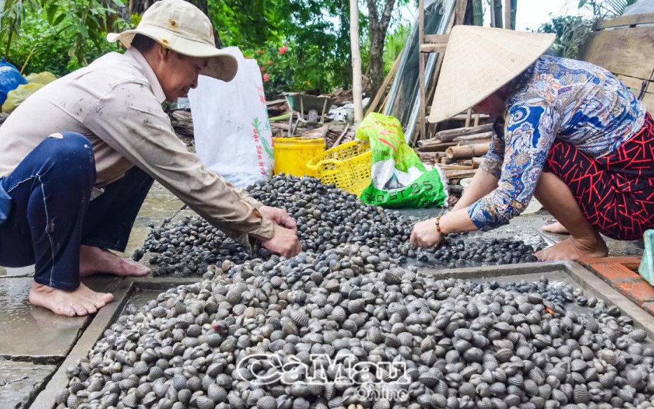 Nông dân Việt Nam xuất sắc đến từ Lâm Đồng làm giàu kiểu “Biển-Vườn-Ao-Chuồng-Ruộng-Rừng” - Ảnh 9.