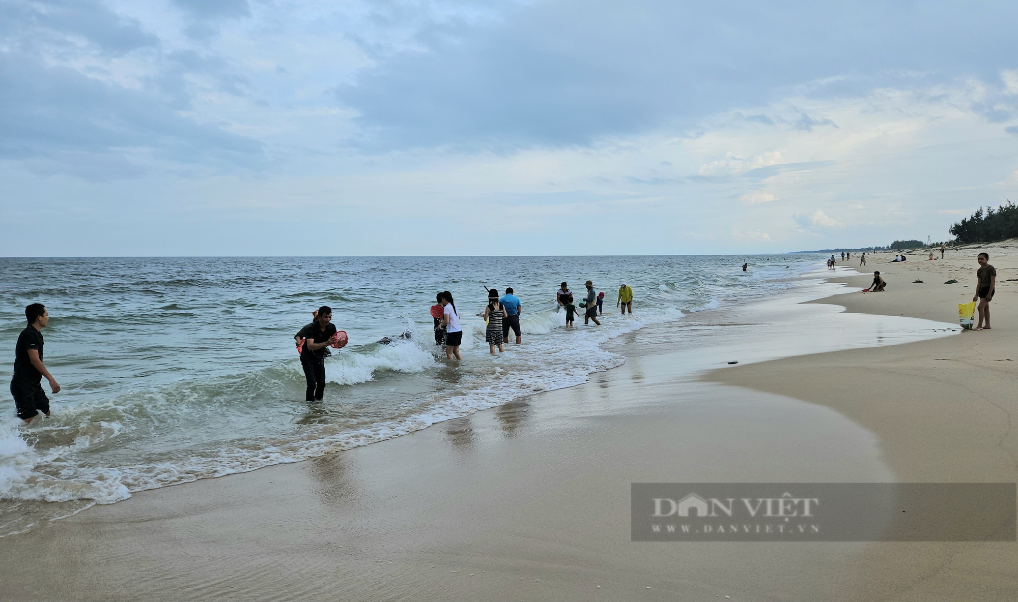 Biển Bảo Ninh ở Quảng Bình bỗng xuất hiện sò huyết, người dân rủ nhau ra vớt mỏi tay, có người kiếm tiền triệu - Ảnh 1.