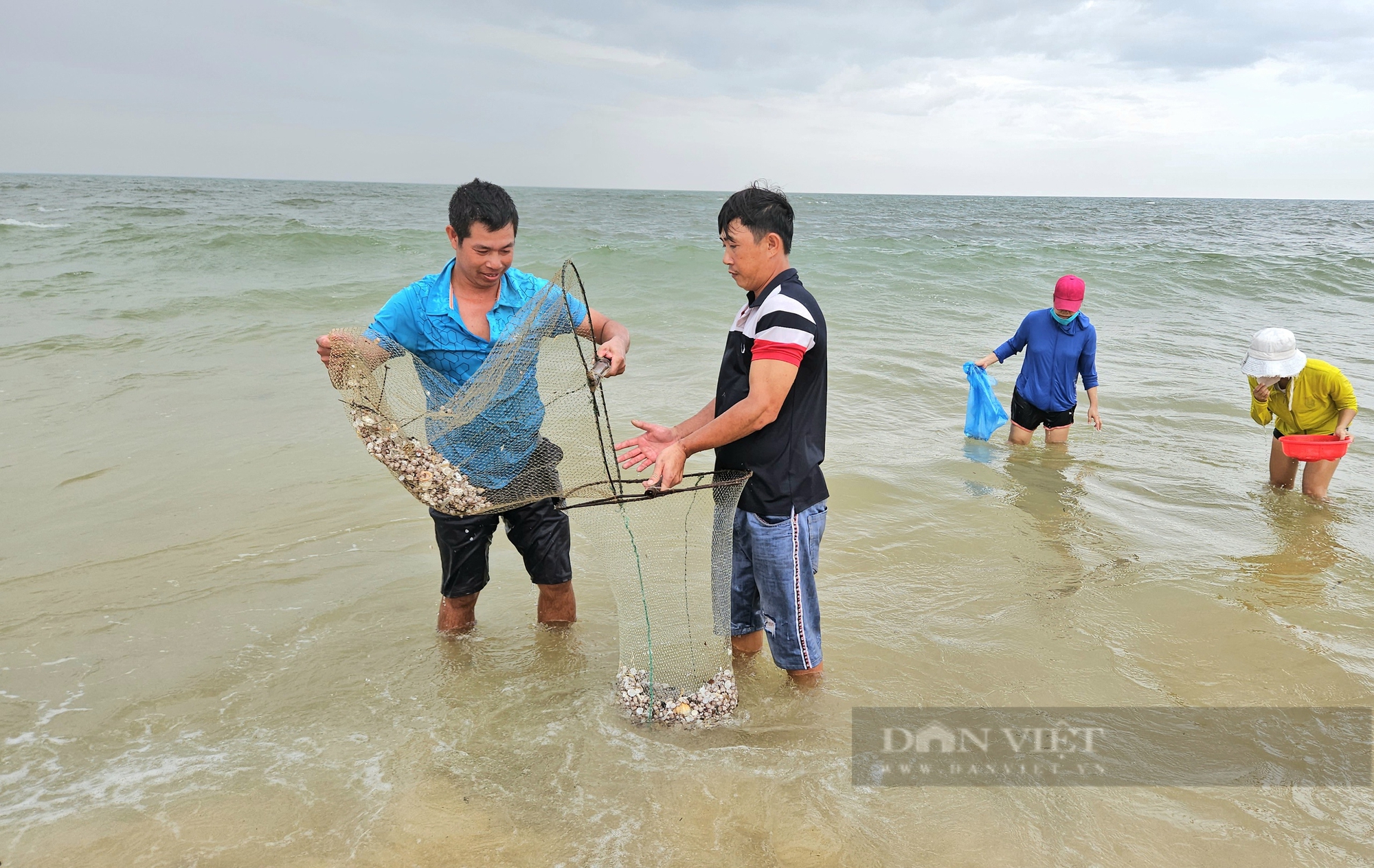 Biển Bảo Ninh ở Quảng Bình bỗng xuất hiện sò huyết, người dân rủ nhau ra vớt mỏi tay, có người kiếm tiền triệu - Ảnh 3.