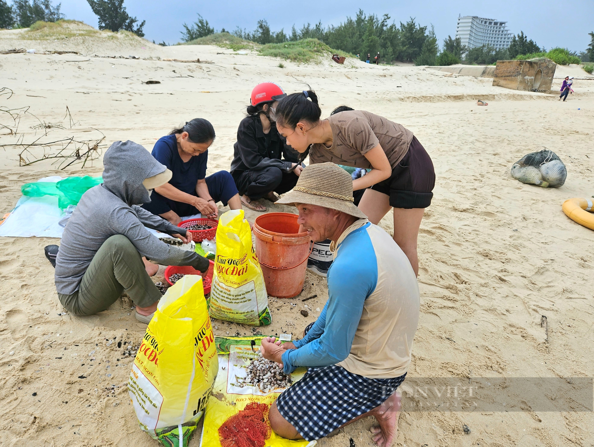 Biển Bảo Ninh ở Quảng Bình bỗng xuất hiện sò huyết, người dân rủ nhau ra vớt mỏi tay, có người kiếm tiền triệu - Ảnh 4.