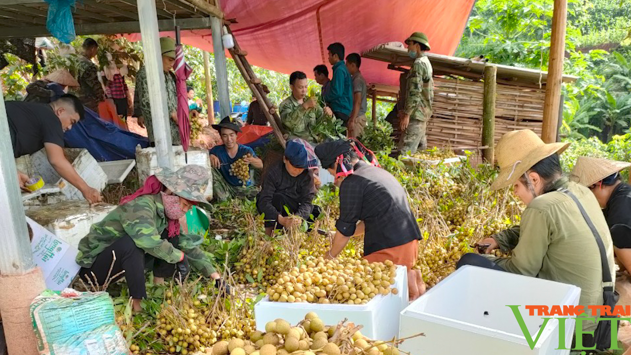 Thay đổi tư duy làm kinh tế của đồng bào dân tộc thiểu số ở Chiềng Đông (Yên Châu) - Ảnh 4.