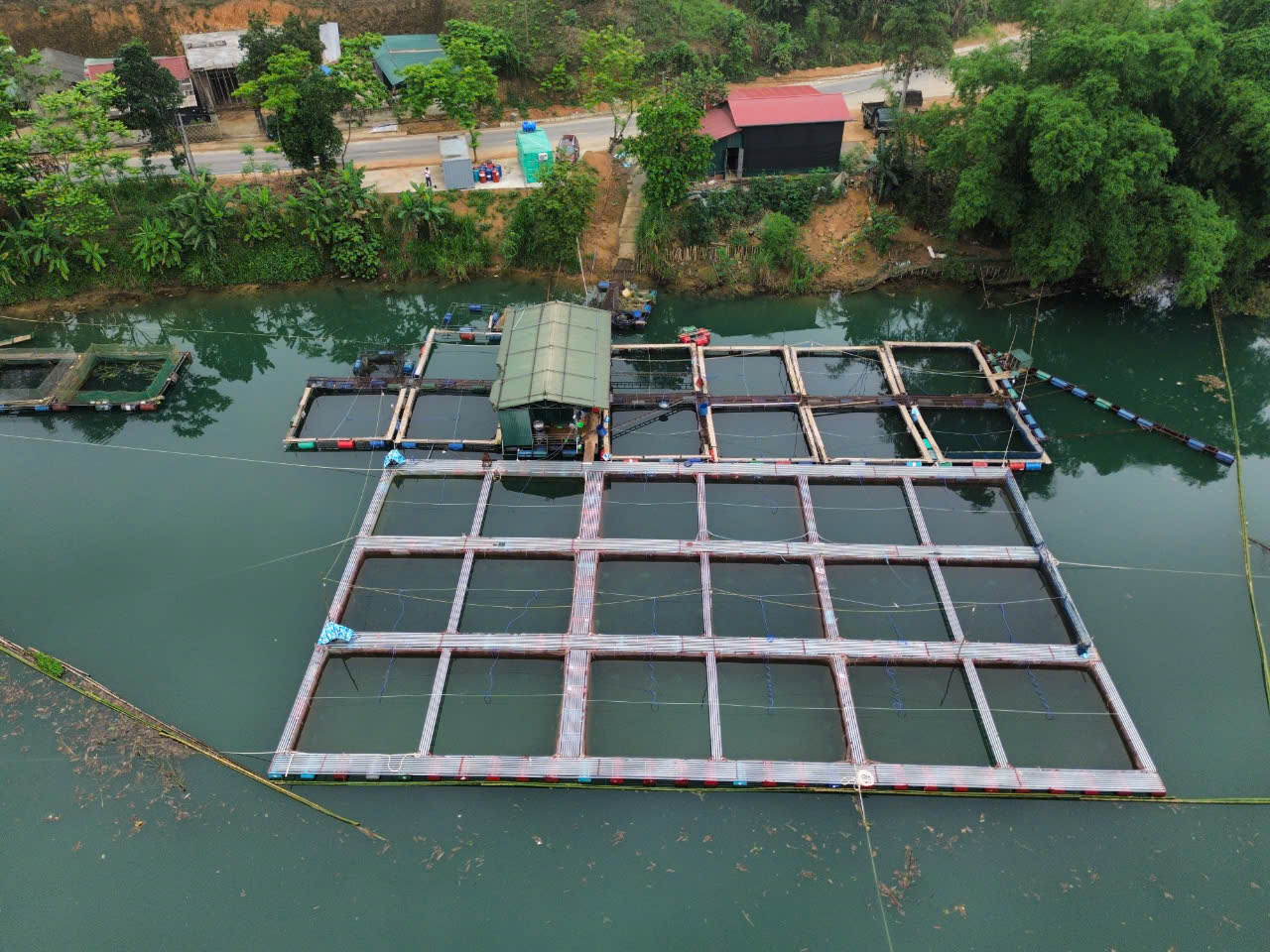 Nông dân gượng dậy thế nào sau bão Yagi: Người quay về nuôi cá, người làm đất gieo hạt (Bài 5)  - Ảnh 3.