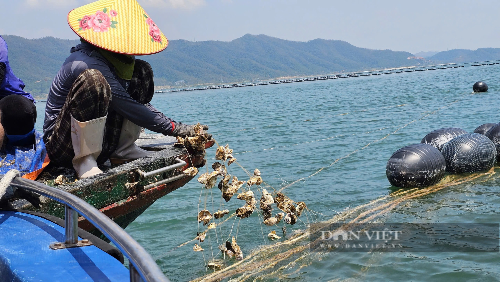 Quảng Ninh: Khách hàng vay vốn bị thiệt hại do cơn bão số 3 sẽ được khoanh nợ như thế nào? - Ảnh 2.