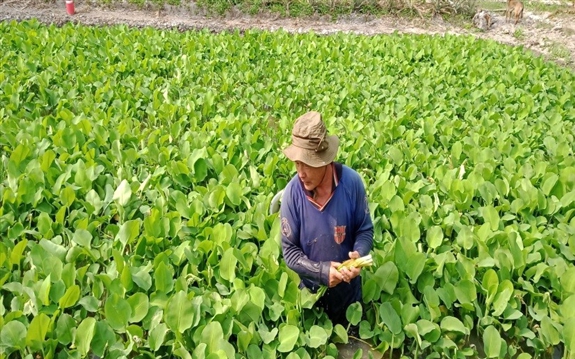 Bỏ lương cao về quê Đắk Lắk sáng chế máy nông nghiệp, chàng trai là Nông dân Việt Nam xuất sắc 2024 - Ảnh 1.