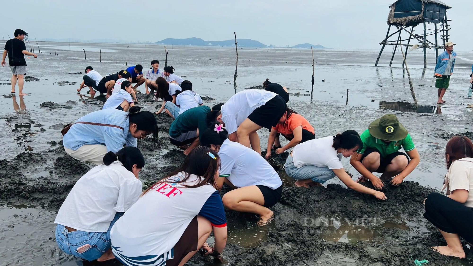 Hội Nông dân TP.Hồ Chí Minh giúp sinh viên Lào, Campuchia trải nghiệm một ngày làm nông dân ở Cần Giờ- Ảnh 5.