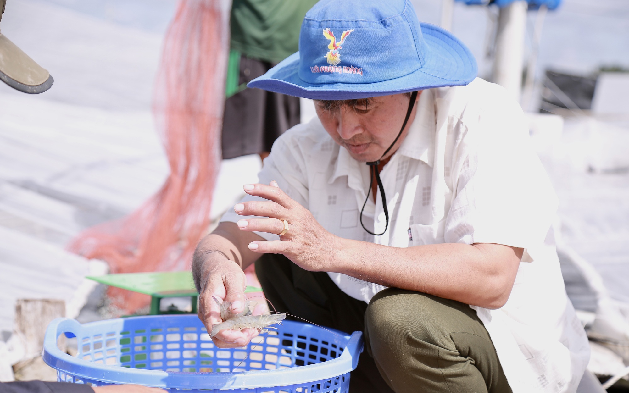 Một nông dân sáng chế máy nông nghiệp ở Bình Phước nhờ "học lỏm" khiến cả làng phục sát đất - Ảnh 6.