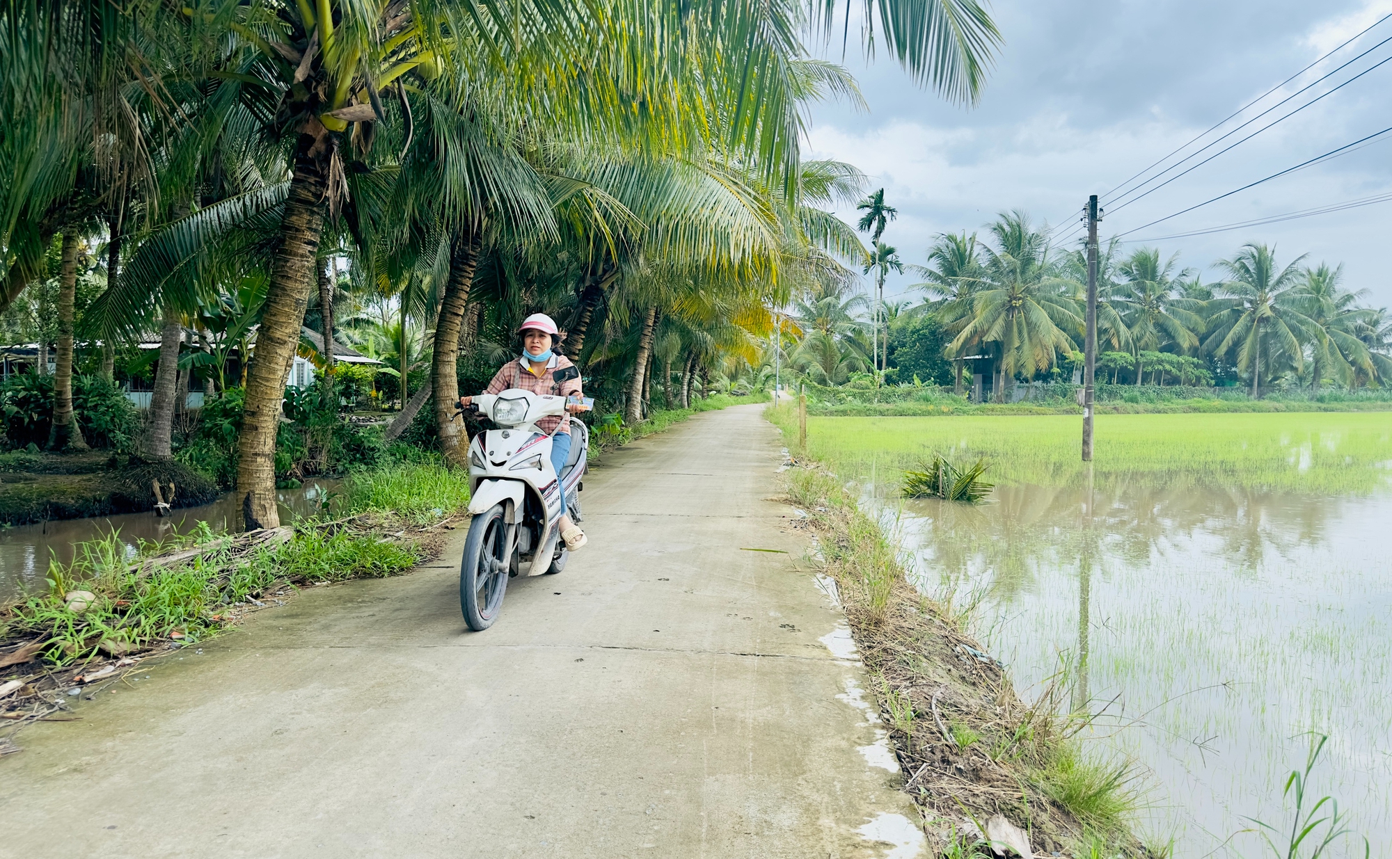 Trà Vinh: Nhiều giải pháp hỗ trợ nông dân người dân tộc thiểu số tích cực sản xuất, phát triển kinh tế - Ảnh 2.