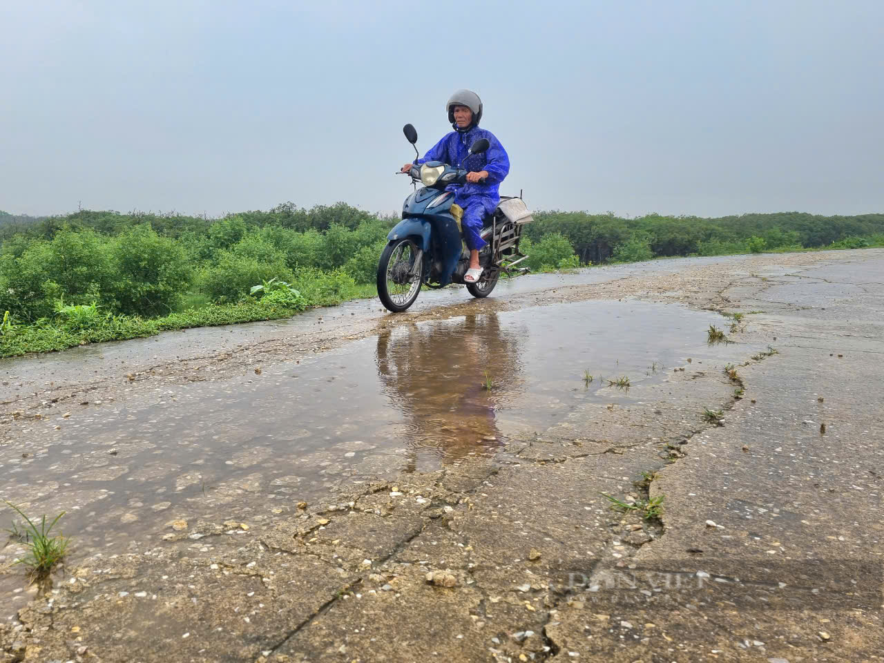 Phó Chủ tịch tỉnh Thanh Hóa Lê Đức Giang chỉ đạo kiểm tra tuyến đê bị nứt toác ở Hậu Lộc  - Ảnh 7.