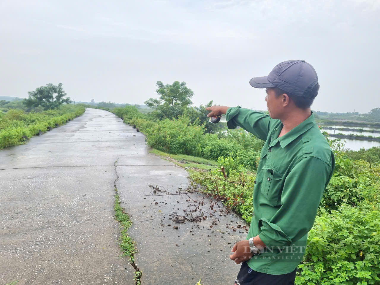 Phó Chủ tịch tỉnh Thanh Hóa Lê Đức Giang chỉ đạo kiểm tra tuyến đê bị nứt toác ở Hậu Lộc  - Ảnh 3.