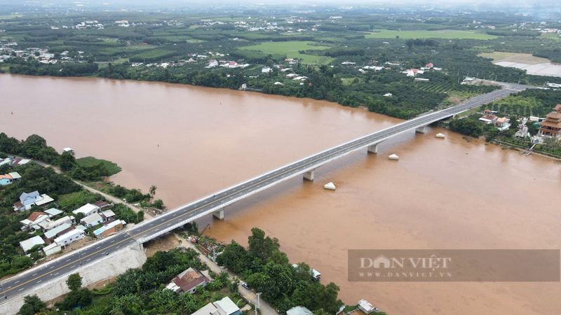 Khánh thành cầu Bạch Đằng 2 kết nối Bình Dương và Đồng Nai- Ảnh 4.