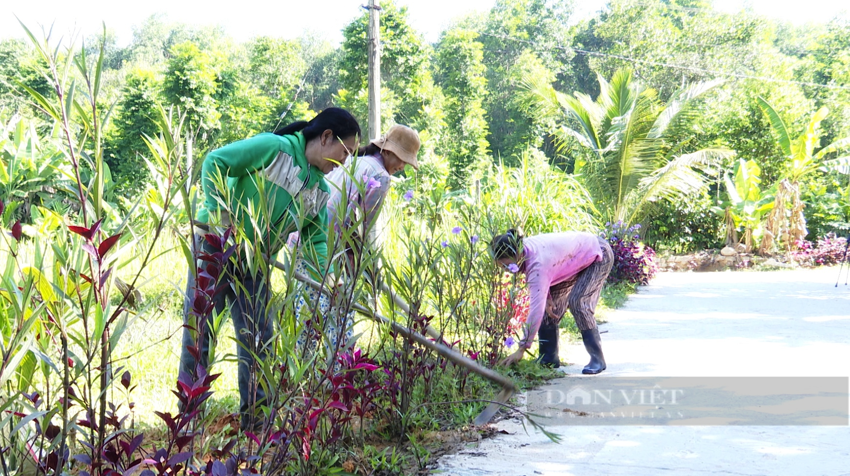 Tiên Thọ (Quảng Nam) địa chỉ đỏ trong kháng chiến và xây dựng nông thôn mới - Ảnh 5.