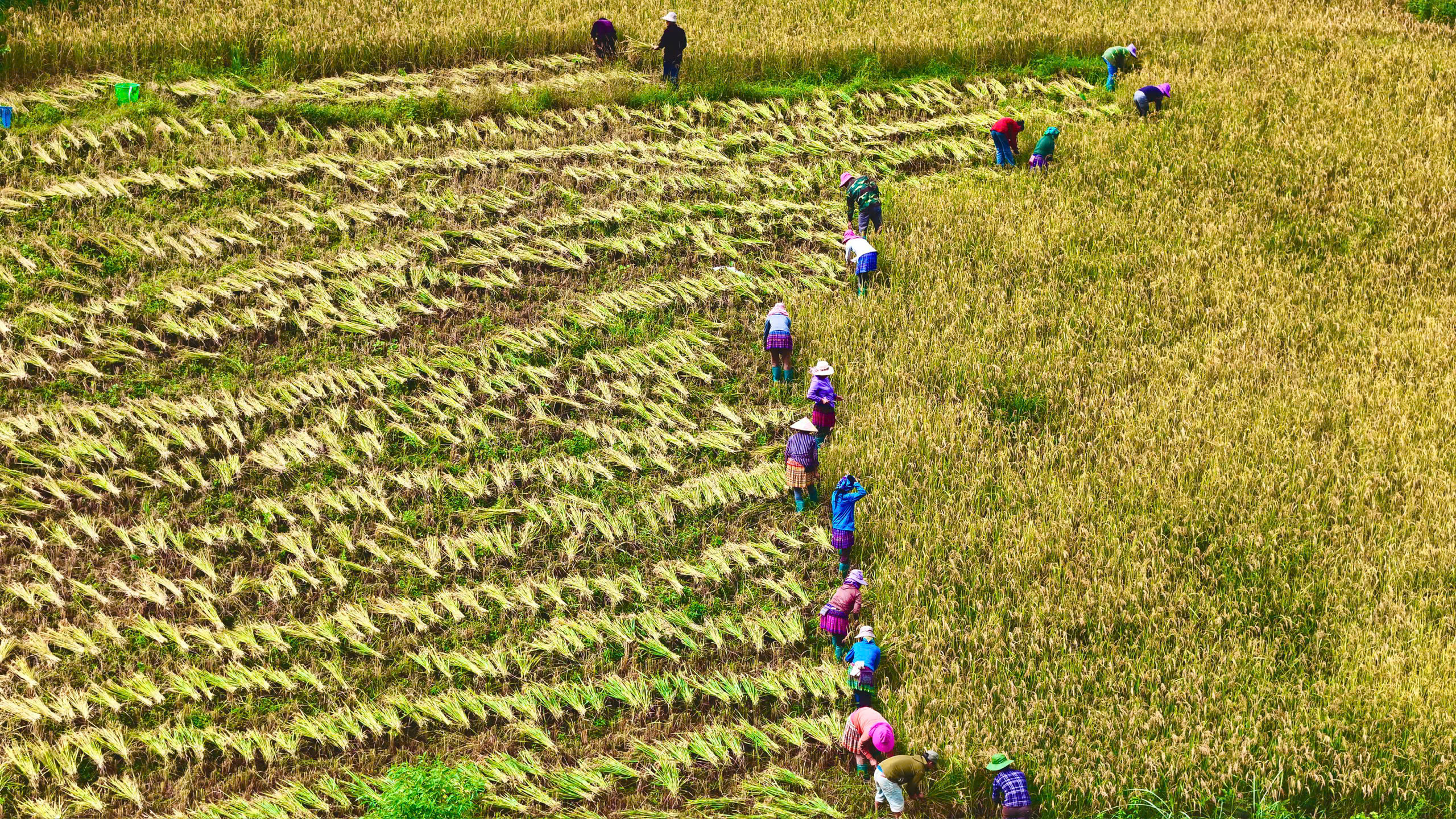 Lào Cai: Mở các tour du lịch kết hợp thiện nguyện hướng về đồng bào vùng lũ- Ảnh 1.