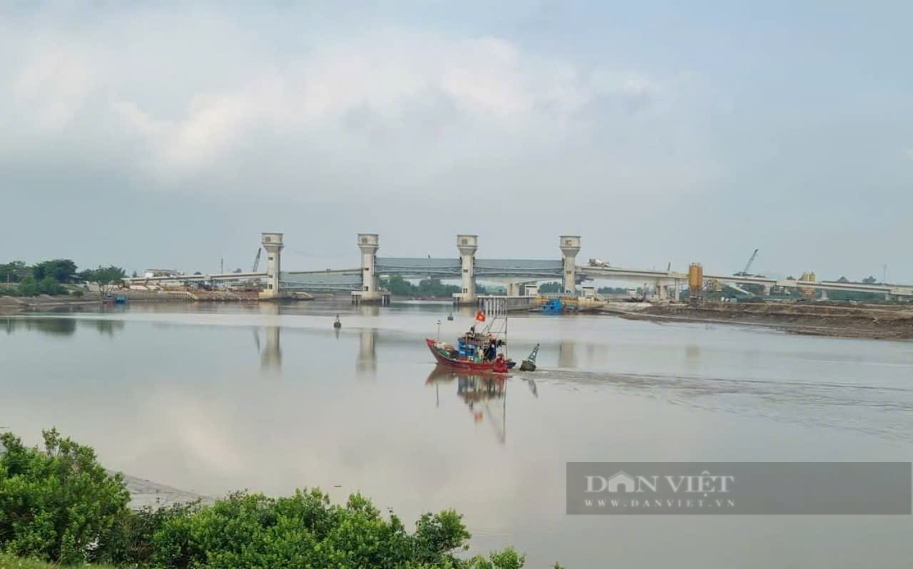 Phó Chủ tịch tỉnh Thanh Hóa Lê Đức Giang chỉ đạo kiểm tra tuyến đê bị nứt toác ở Hậu Lộc  - Ảnh 1.