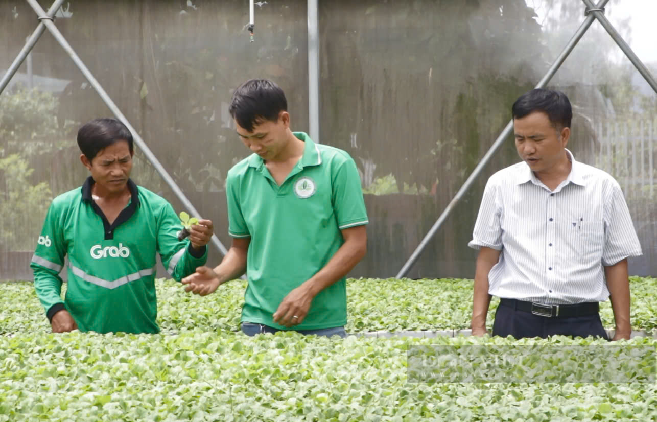 9X bỏ phố về quê trồng rau lãi 7-8 tỷ đồng/năm, được tôn vinh Nông dân Việt Nam xuất sắc 2024 - Ảnh 4.