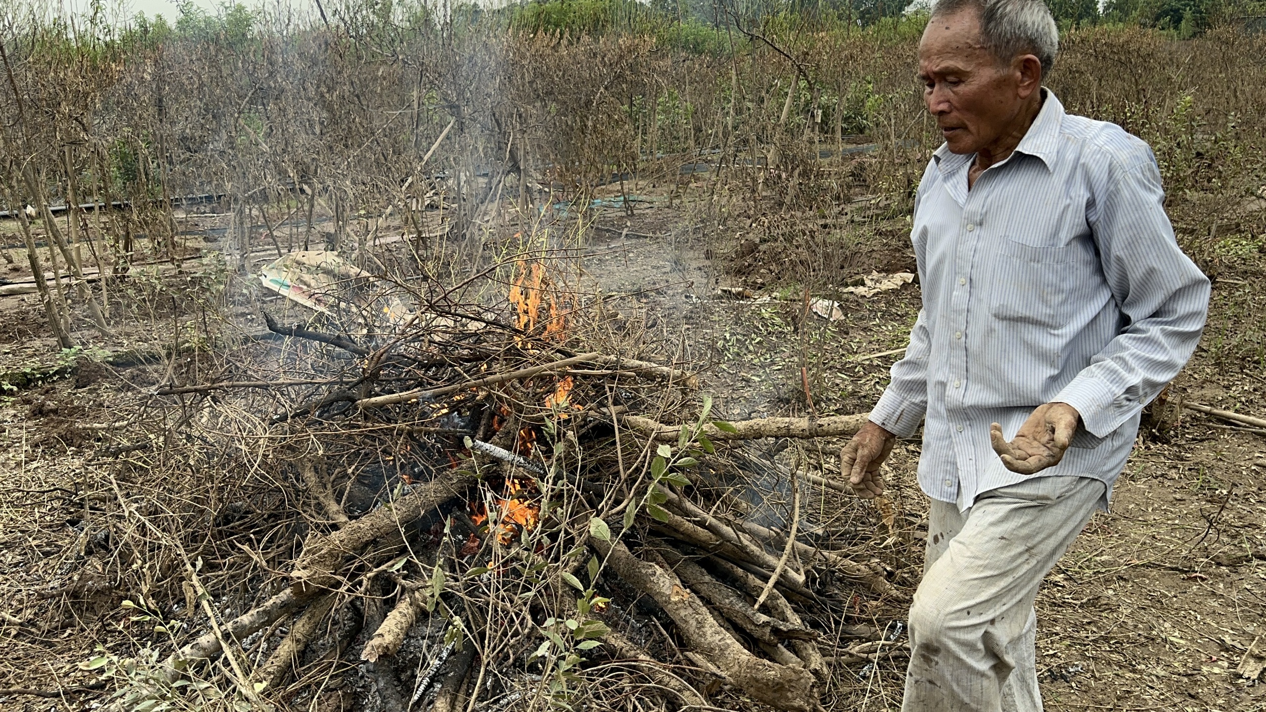 Làng cây cảnh hot nhất đất Thủ đô tan tác, tiền tỷ "chôn" trong bùn đất - Ảnh 4.