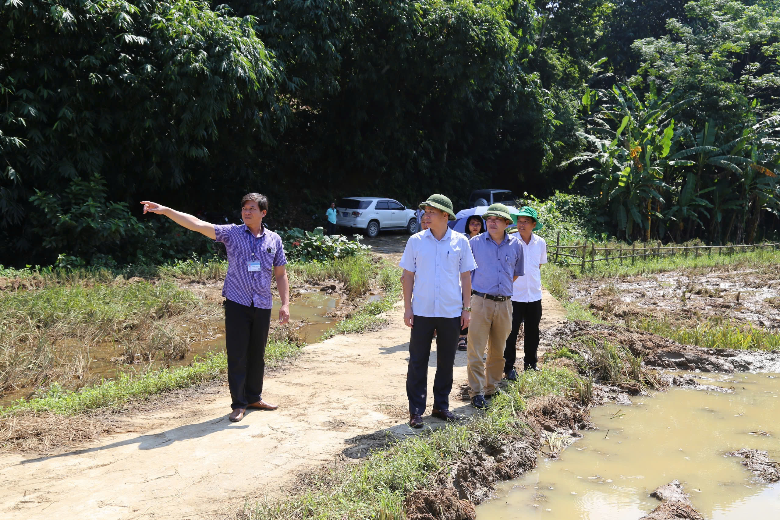 Hòa Bình: Kiểm tra công tác khắc phục hậu quả và khôi phục sản xuất sau bão số 3 - Ảnh 2.