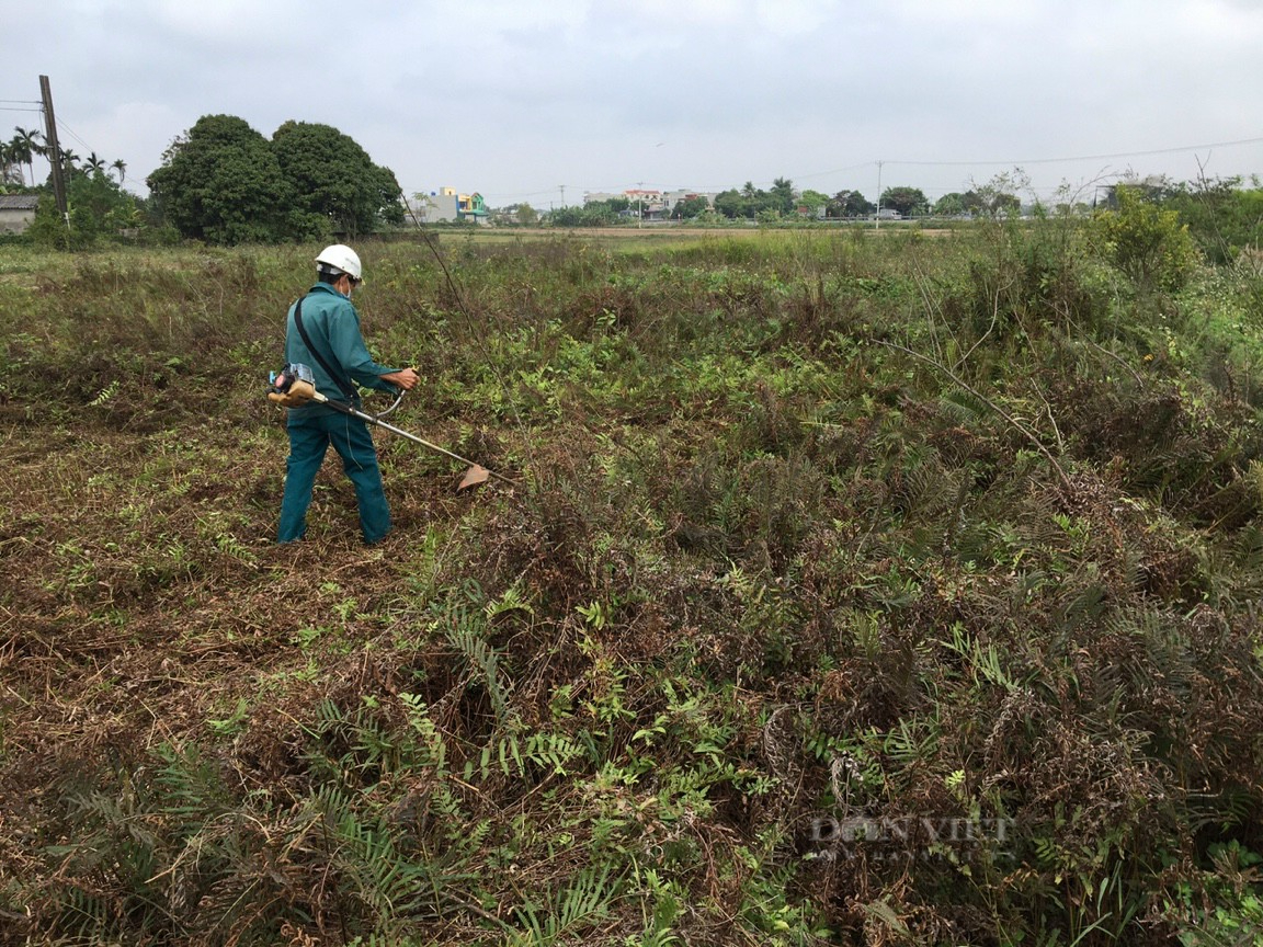 Nông dân Việt Nam xuất sắc 2024 đến từ Thái Bình là chàng trai 8X rủ cả làng trồng thứ cây tỏa hương thơm - Ảnh 1.