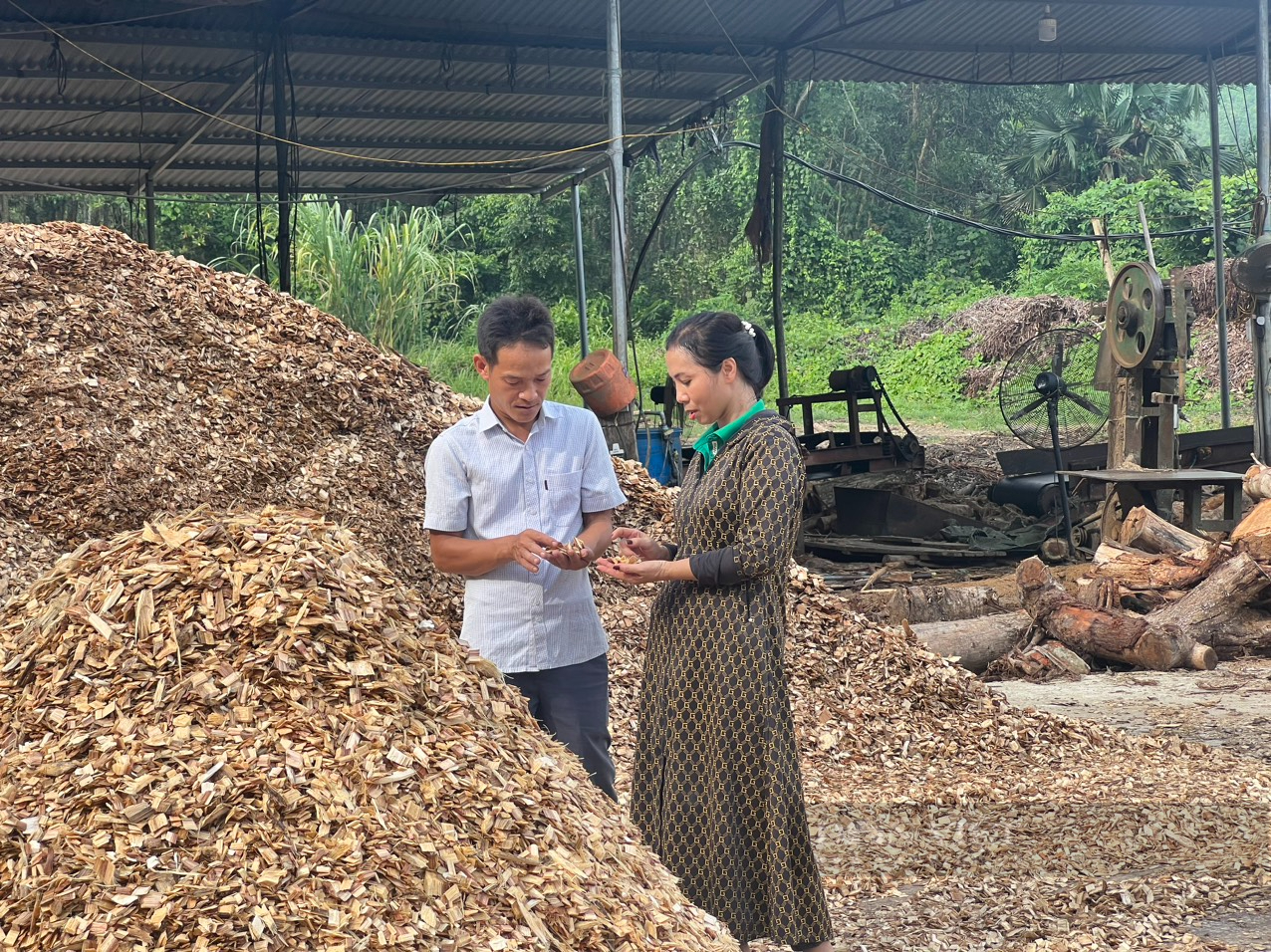 Tâm tư của Nông dân Việt Nam xuất sắc tỉnh Bắc Kạn đối với phát triển kinh tế nông, lâm nghiệp - Ảnh 1.