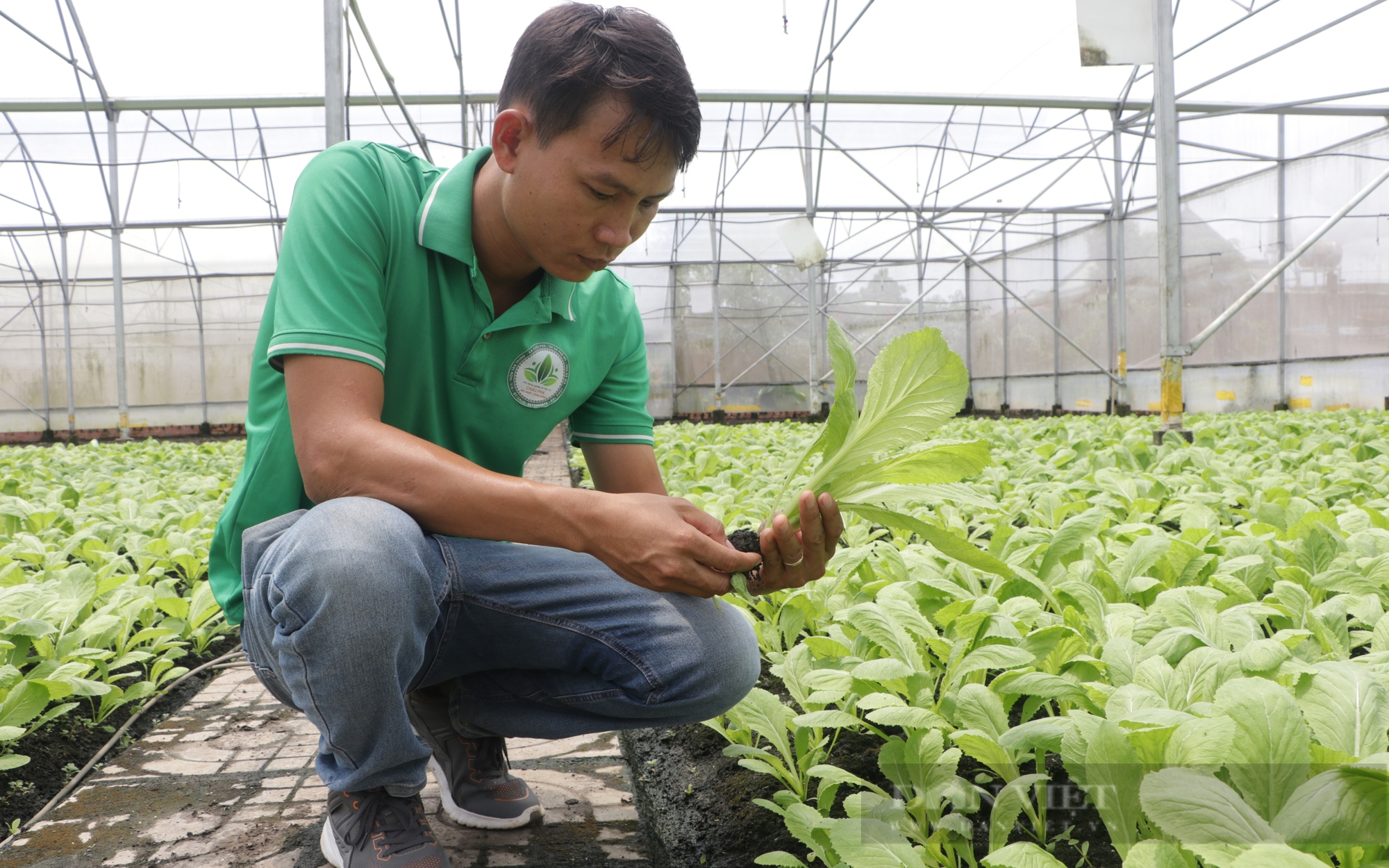 Lãnh đạo Bà Rịa - Vũng Tàu yêu cầu nhanh chóng làm rõ lùm xùm về khẩu phần cho giáo viên- Ảnh 2.