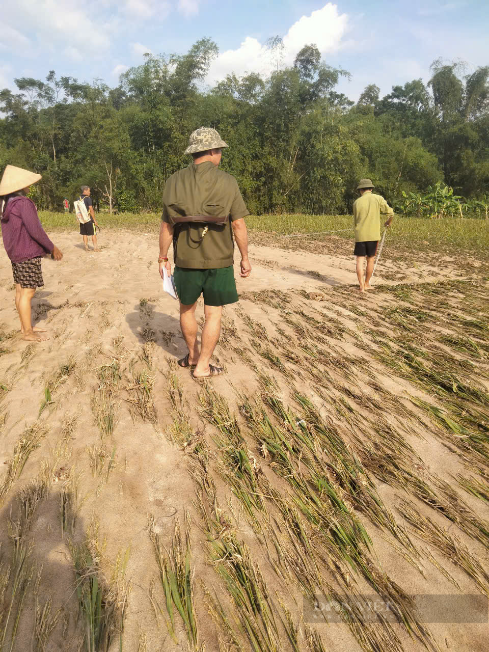 Cấp bách lo cho dân vùng bão lũ, nhìn từ thông điệp của Thủ tướng: Quyết thực hiện lời hứa với dân (Bài cuối)- Ảnh 8.