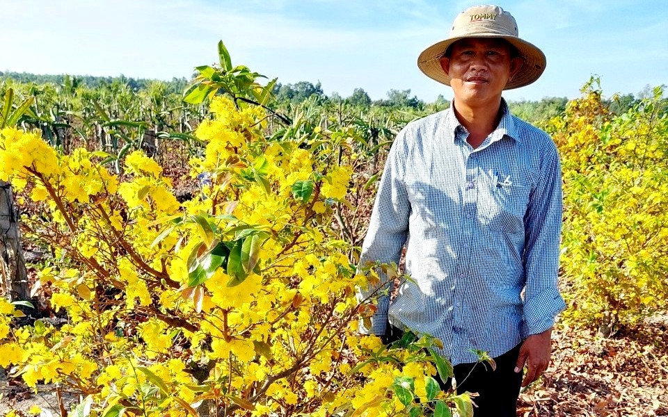 TP.HCM bảo vệ sức khỏe, bệnh nghề nghiệp lao động làng nghề ra sao? - Ảnh 2.