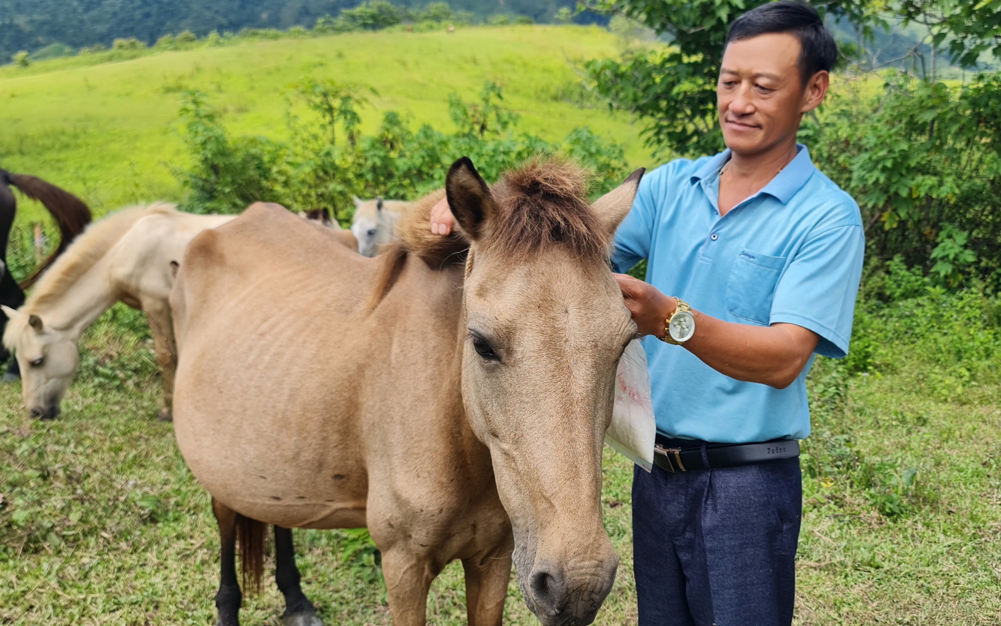 Giữa dòng sông Đuống ở Bắc Ninh có ông tỷ phú nông dân nuôi dày đặc cá đặc sản, cả làng phục lăn - Ảnh 9.