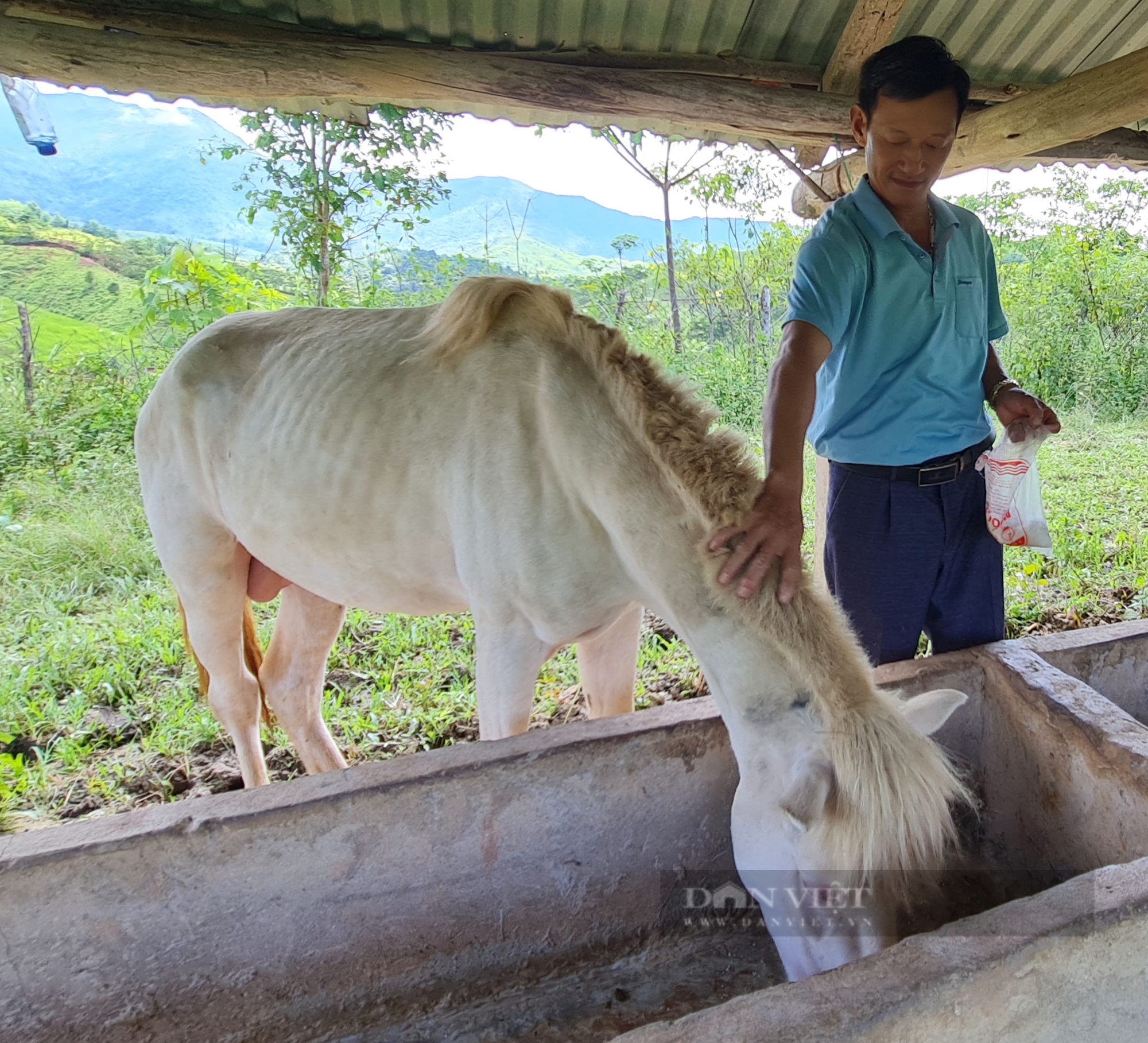 Hành trình vượt khó từ anh nông dân nghèo đến nông dân xuất sắc toàn quốc năm 2024 của anh Hồ Chử Vàng - Ảnh 4.