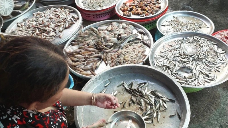 Cá linh non mùa nước nổi đầu nguồn sông Hậu ở An Giang, sao bán giá nhà giàu, dễ bị làm giả cá linh?- Ảnh 1.